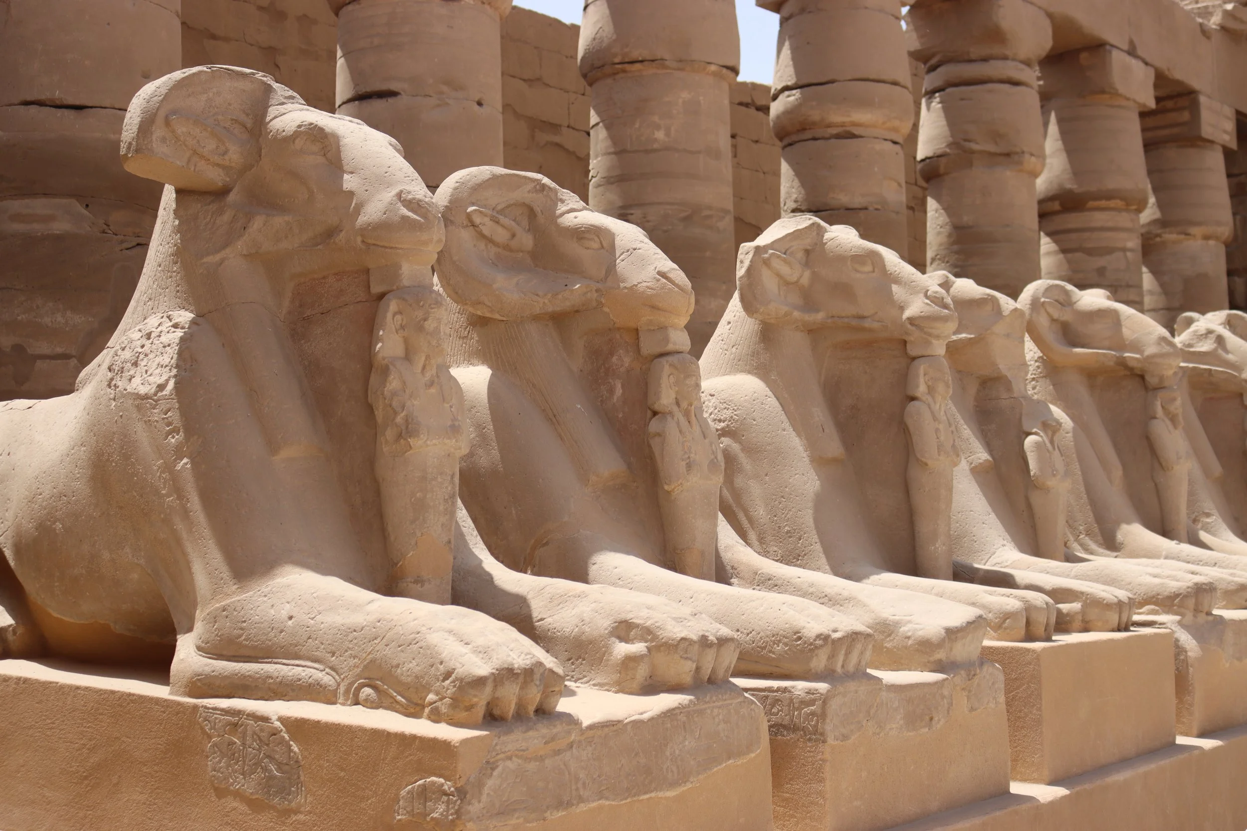 Ram Head Egypt from Monica_4397 copy.JPG