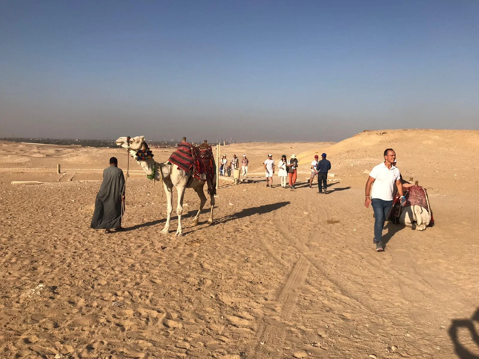 201911_Jason_Egypt_df673c28-aa5a-40ad-bbdc-8fa2744c2fbb copy.jpg