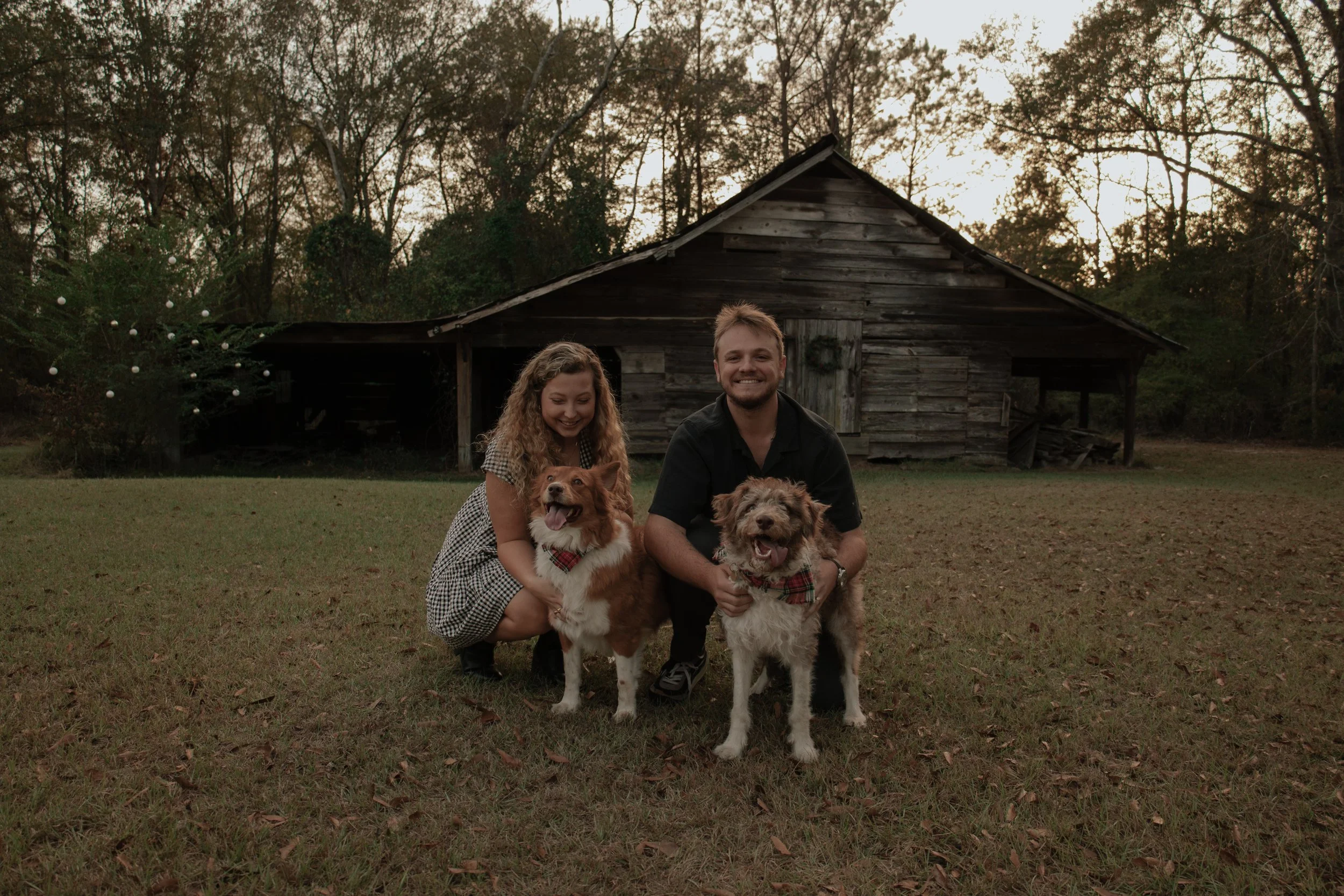 A couple with two dogs kneeling on grass in front of an old wooden barn at dusk.
