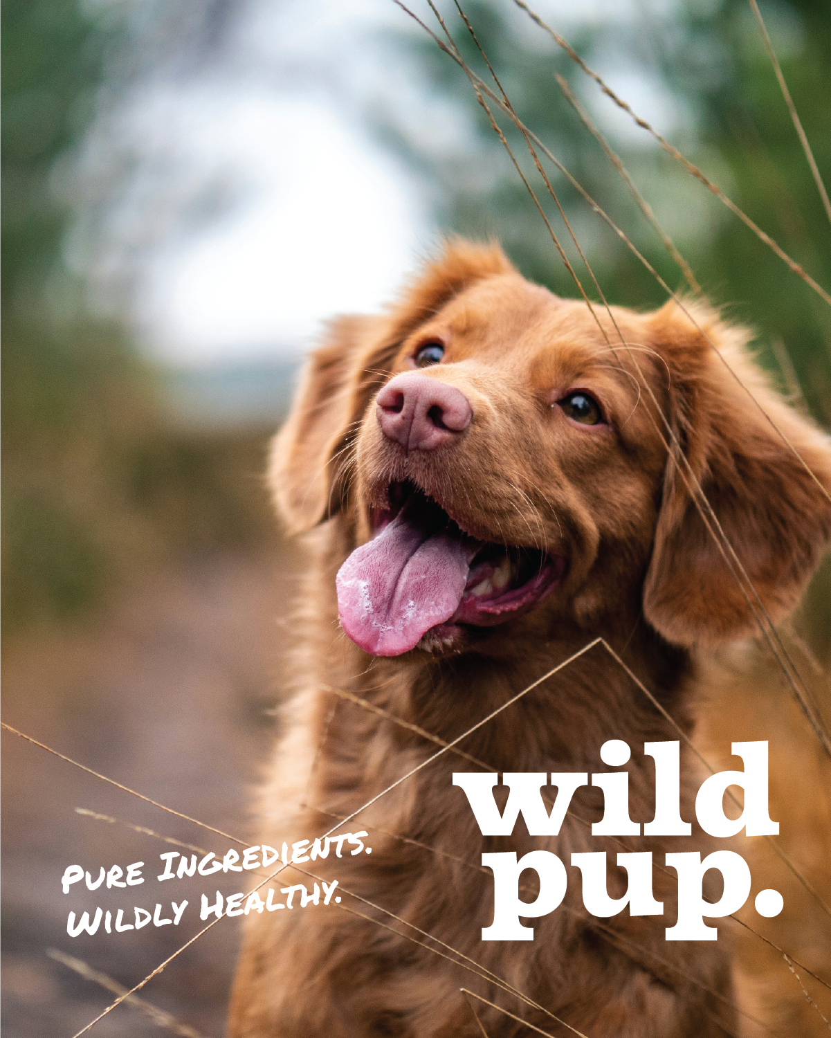 wild pup mocks-06.png