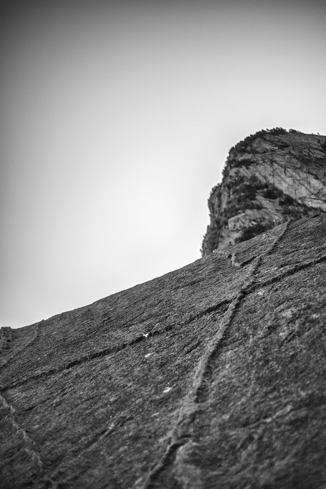 Pared de roca vertical en blanco y negro con textura rugosa.