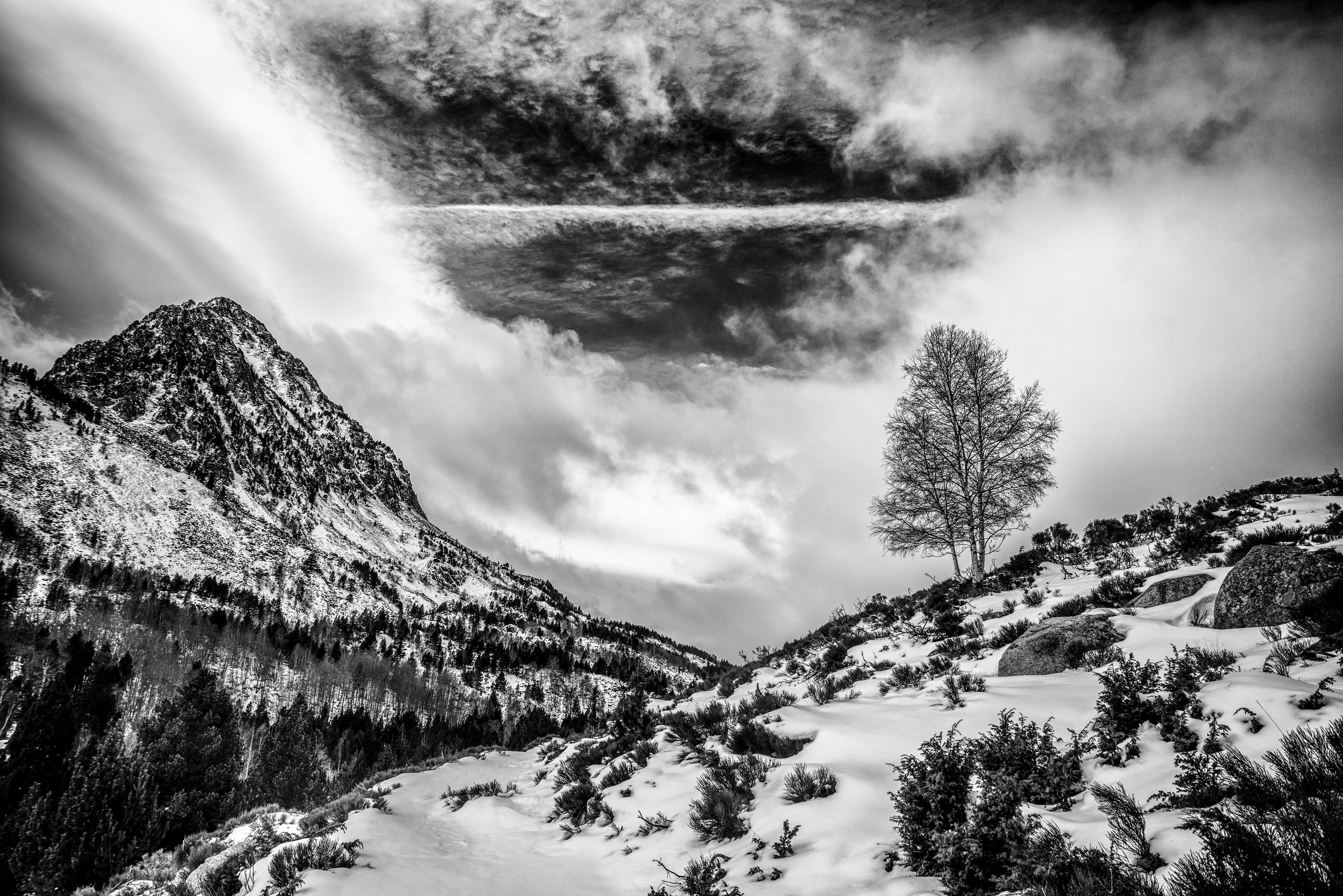 Paisaje invernal en blanco y negro con una montaña nevada y un árbol solitario en una colina.