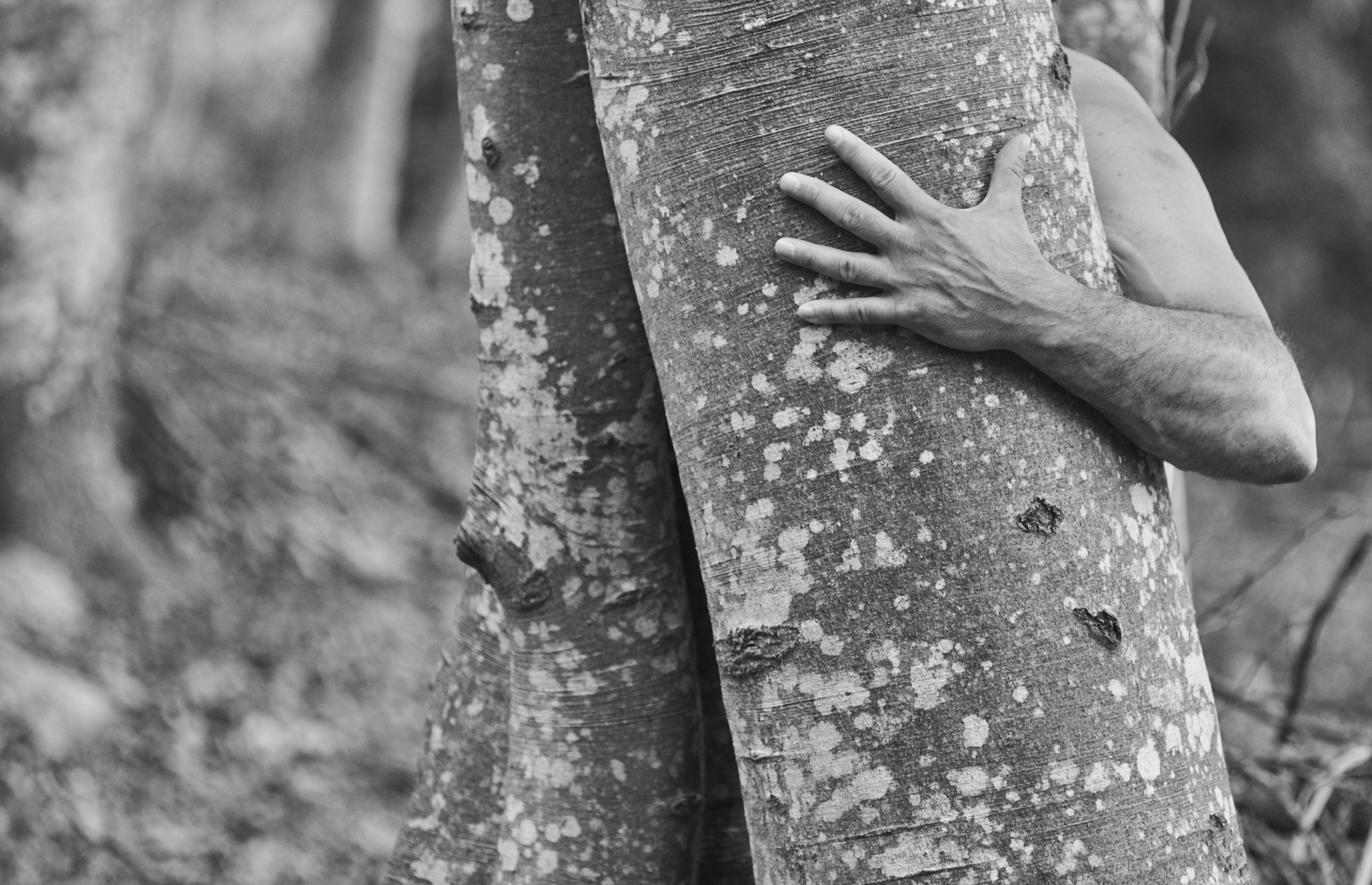 Persona abrazando el tronco de un árbol en un bosque, imagen en blanco y negro.