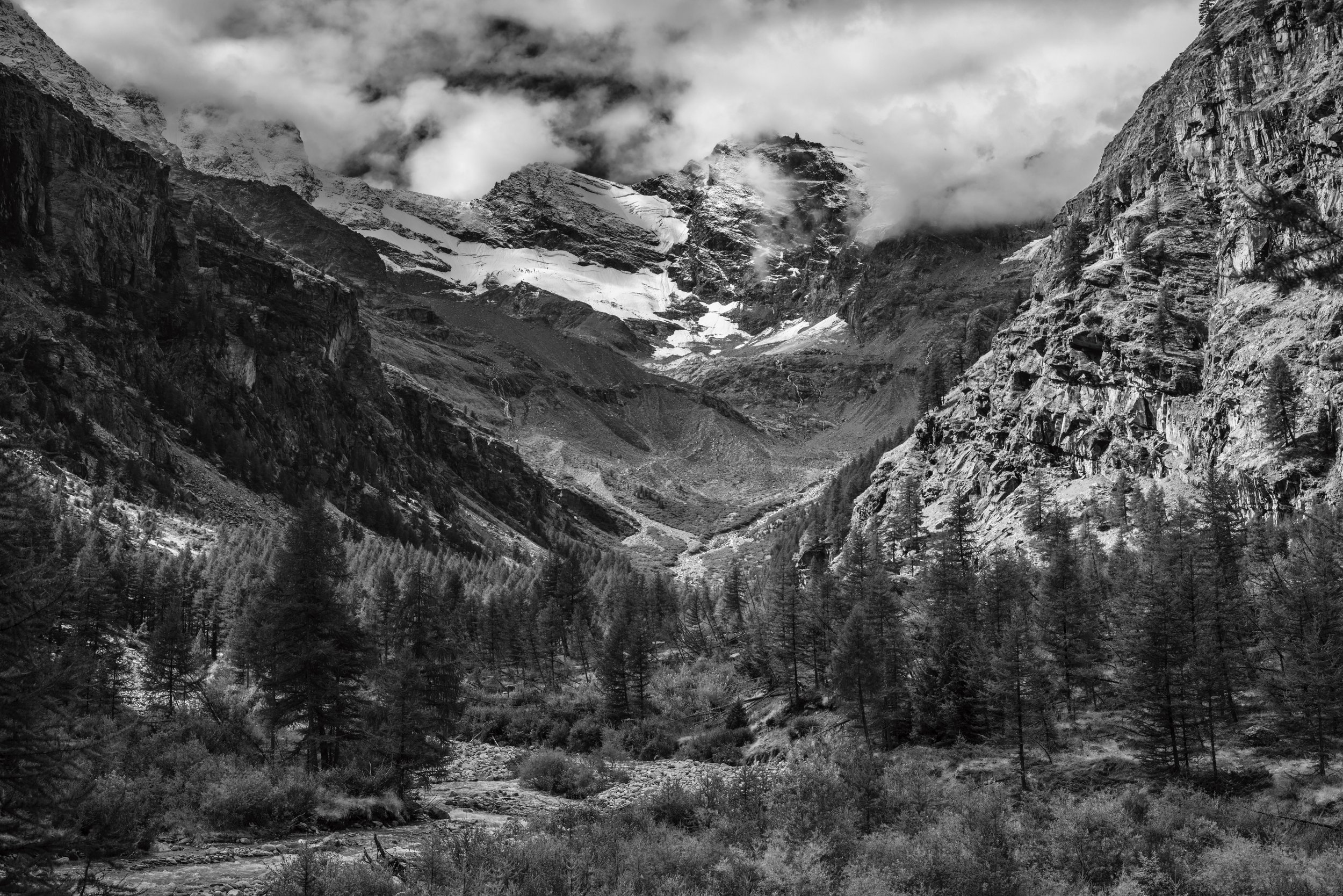 Paisaje montañoso en blanco y negro con árboles, grandes rocas y picos nevados. El cielo está parcialmente nublado.