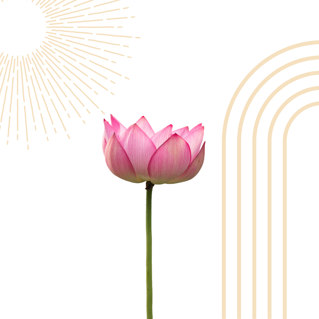 Entfalte dein volles Potential mit dem Ressourcen-Coaching bei Katharina Seedorf