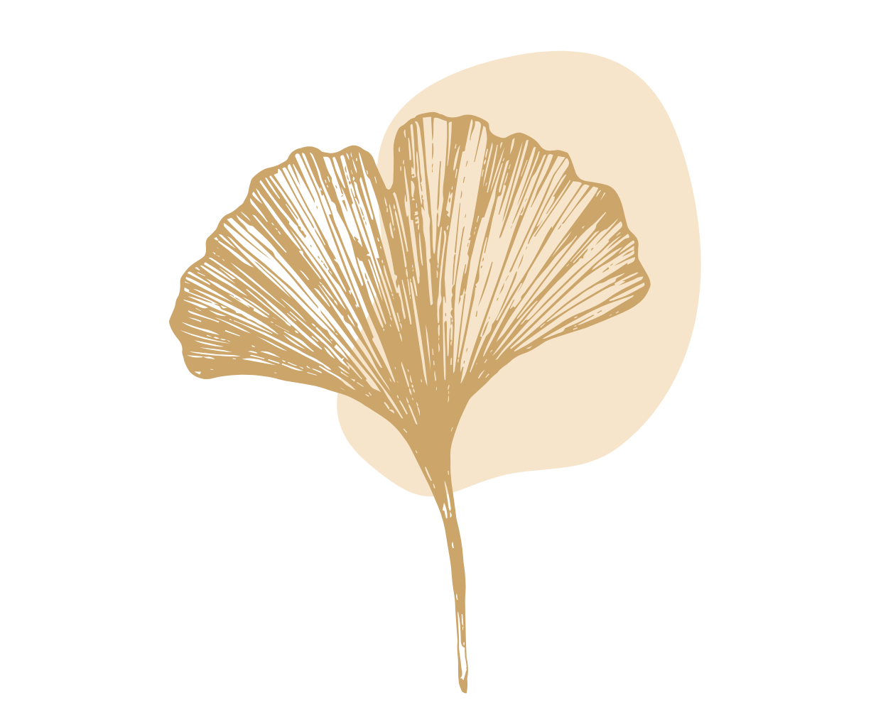 Goldenes Ginkgo-Blatt, das Symbol von Seedorf Regeneration