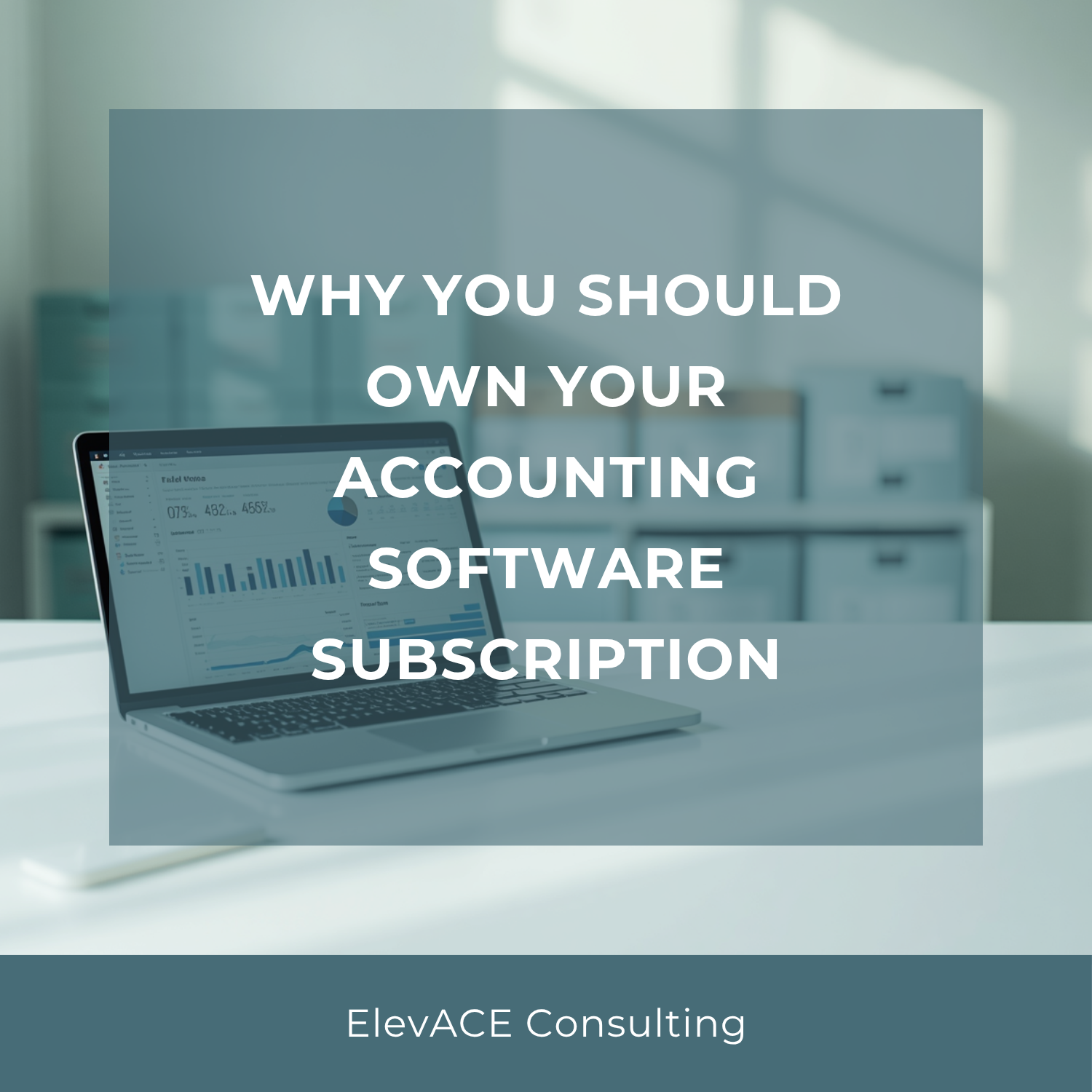 Why You Should Own Your Accounting Software Subscription