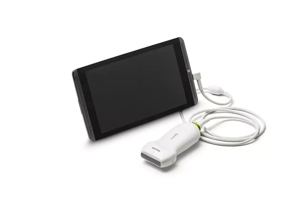 afca95898d6a46afb322aa560082dfee.webp