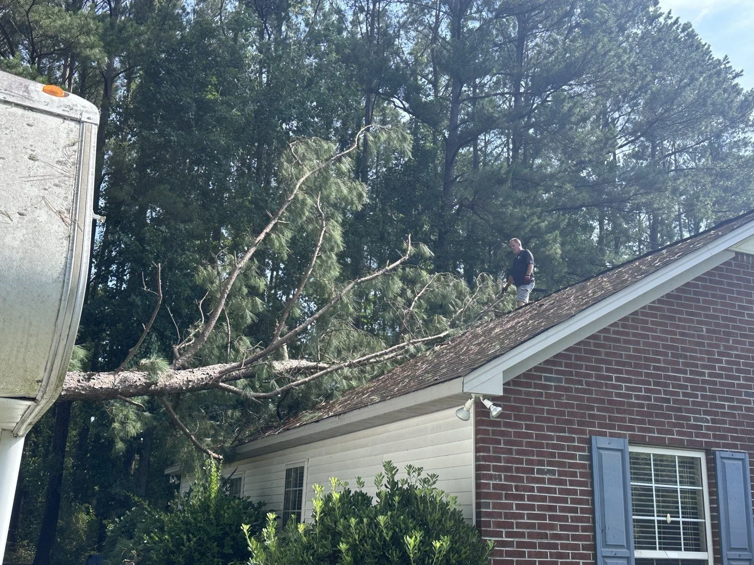 Large fallen tree resting on a residential roof following storm damage, with a worker inspecting the roof.