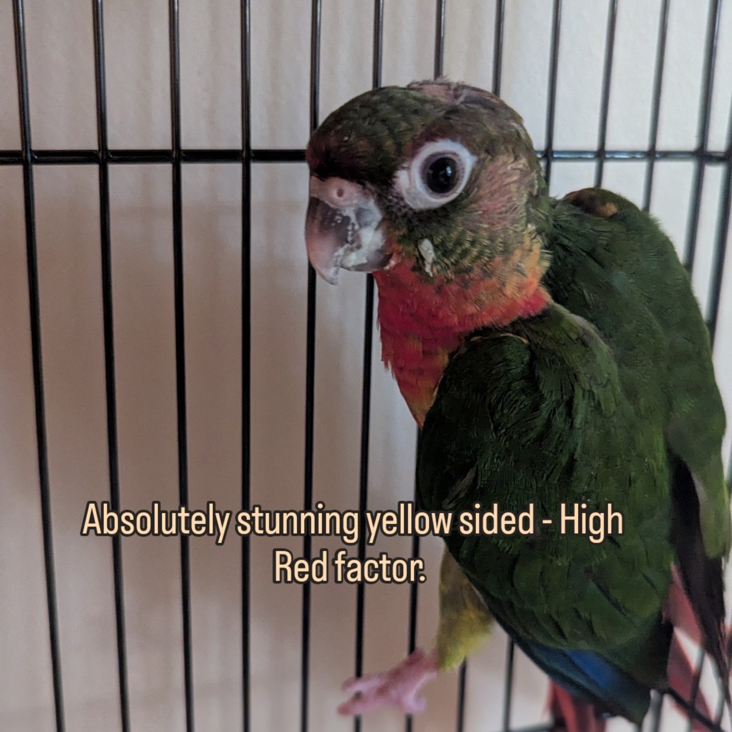 processed_155fb184e2f549a78559c87cfbad24e0.jpeg