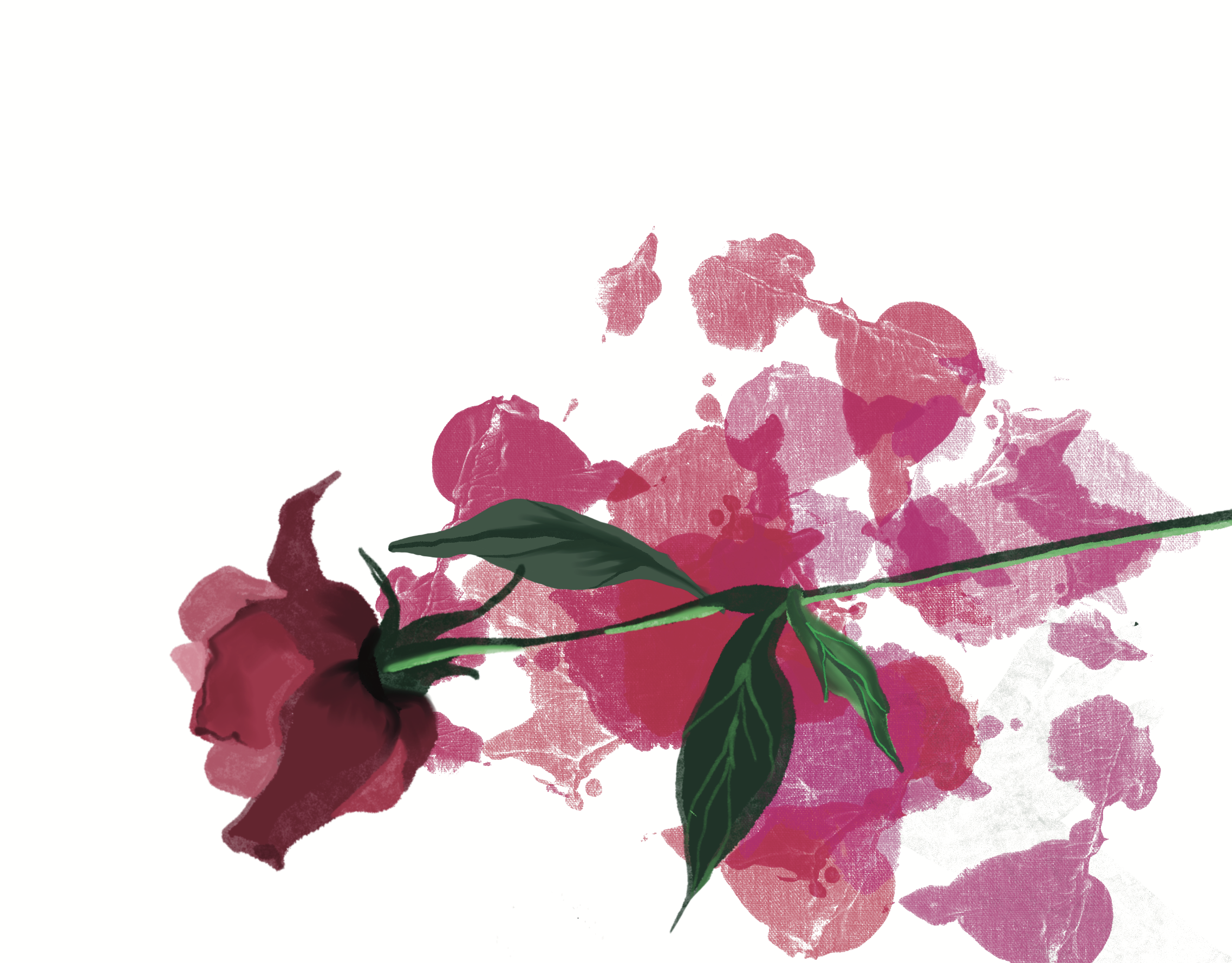 IMG_3420.png