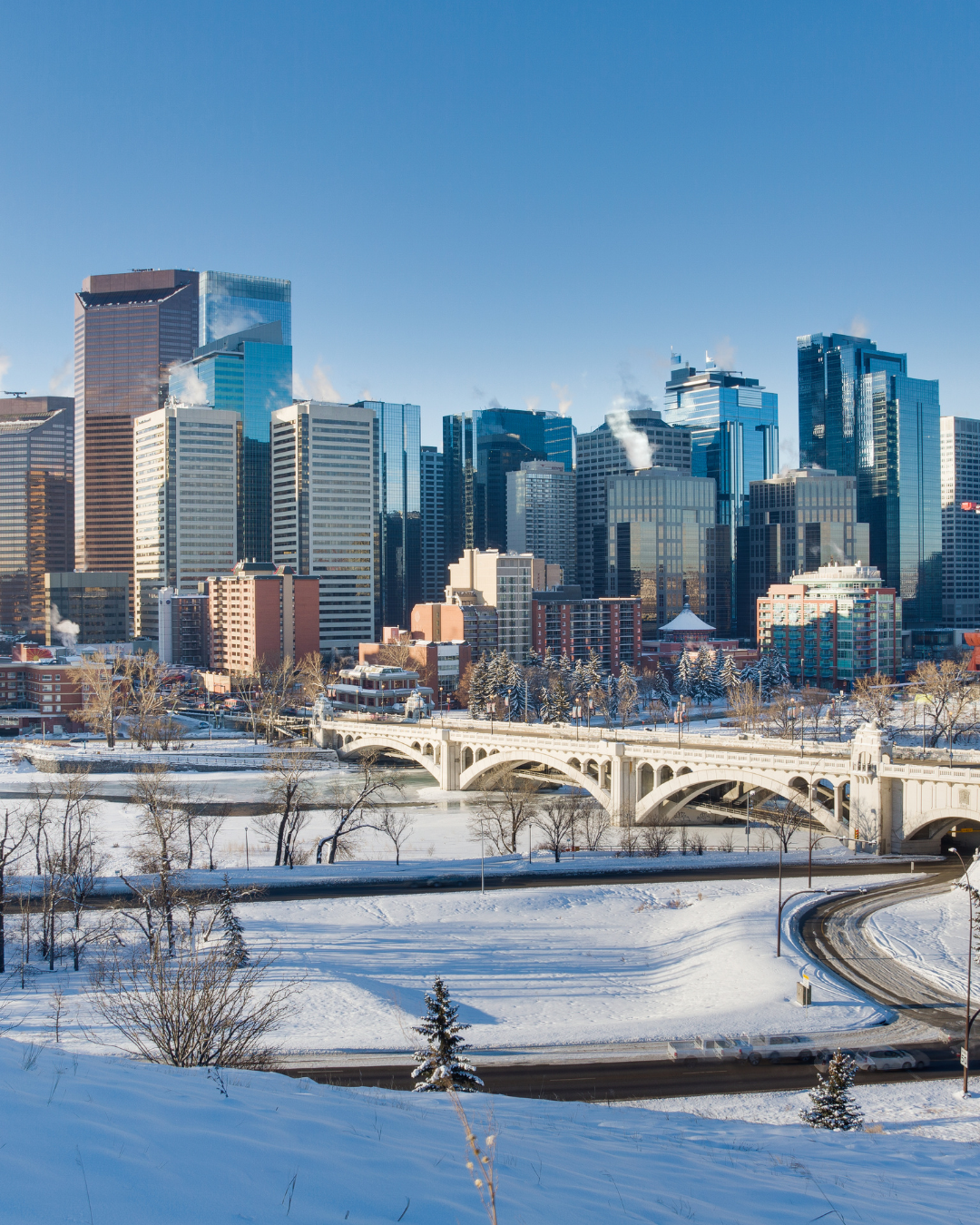 Winter Market Update