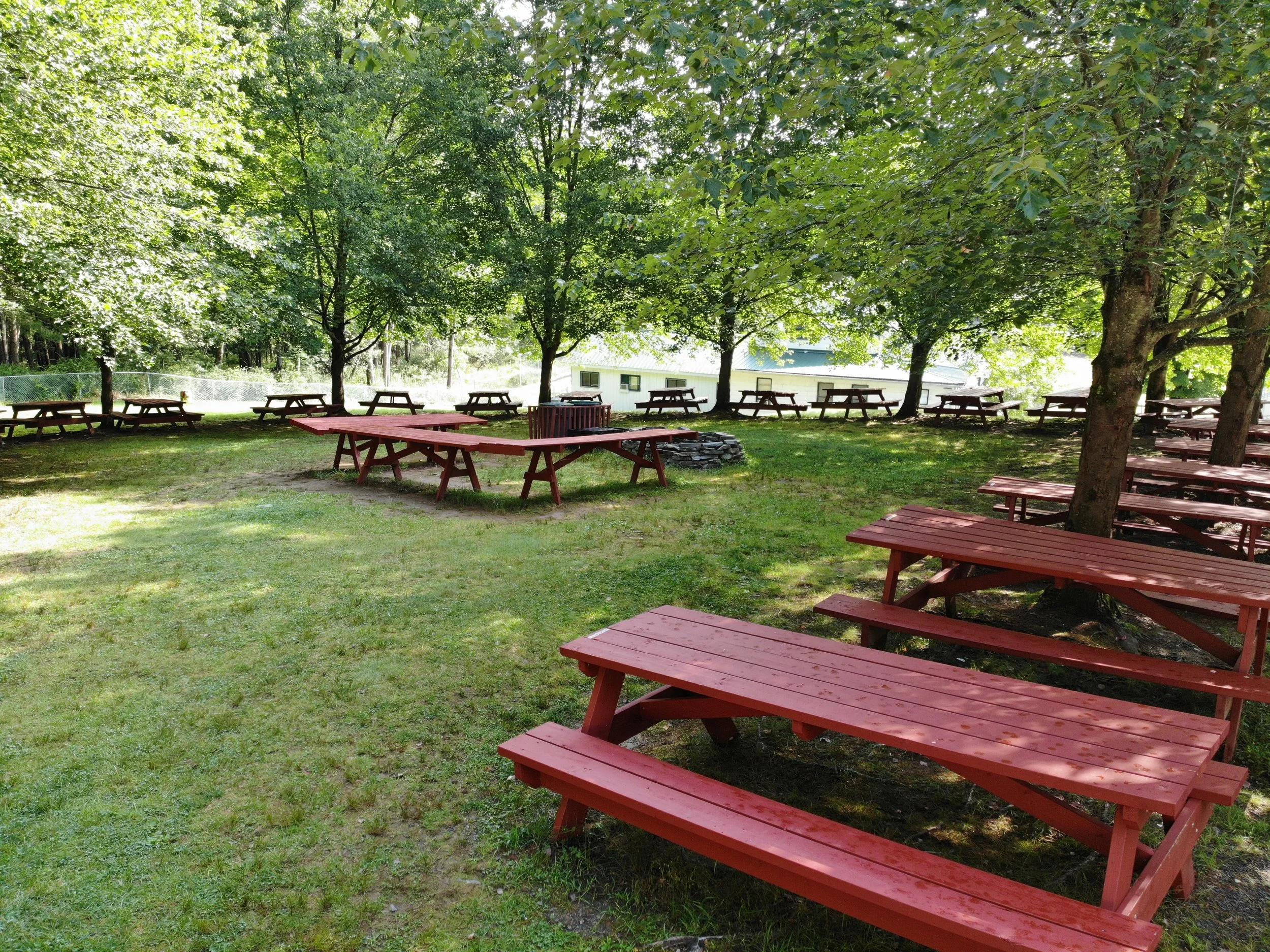 Picnic Grove.JPG