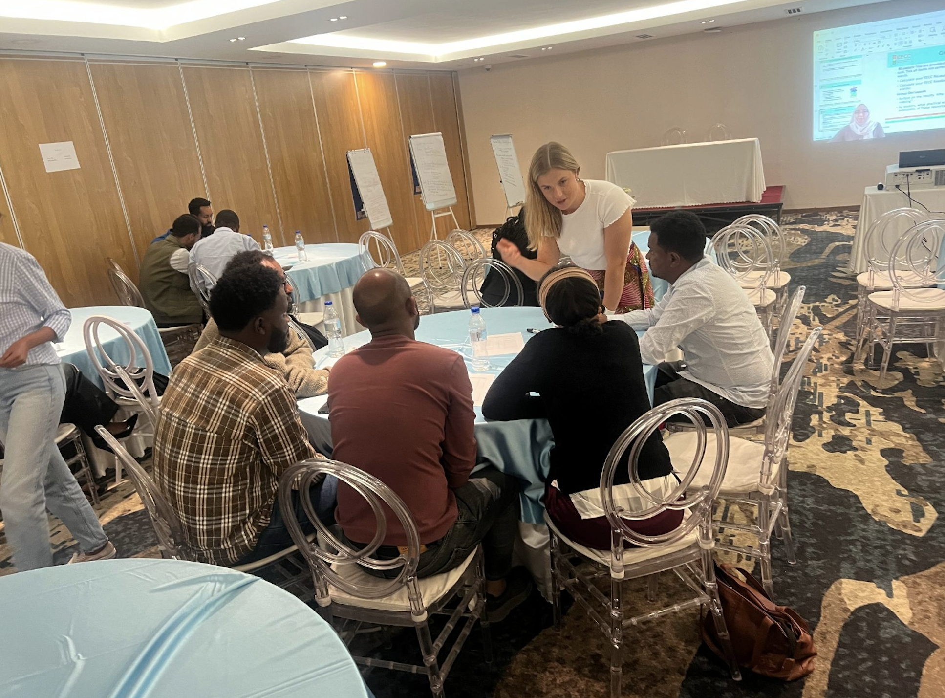 EECC Workshop Addis Ababa