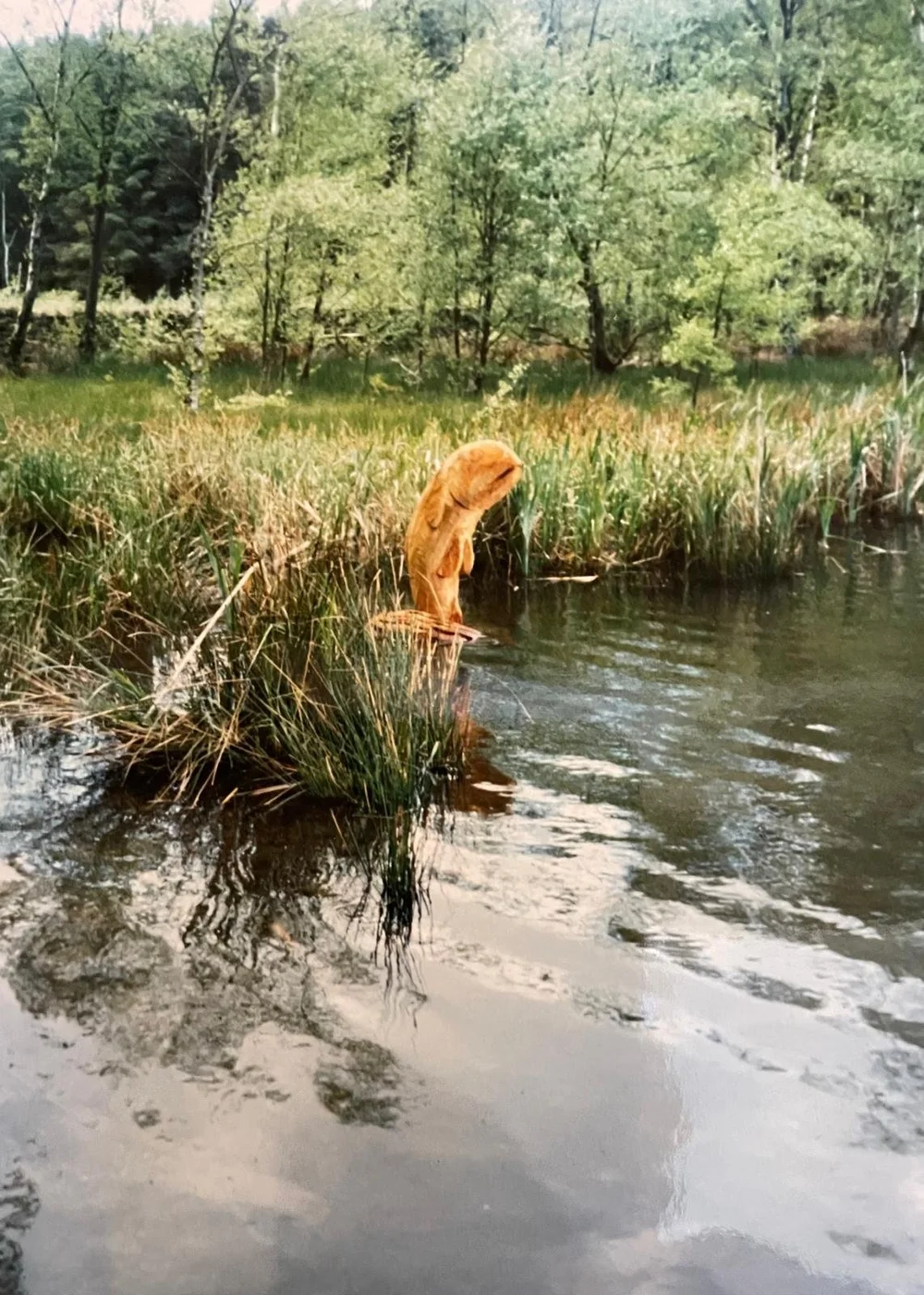 The Fish wood carving