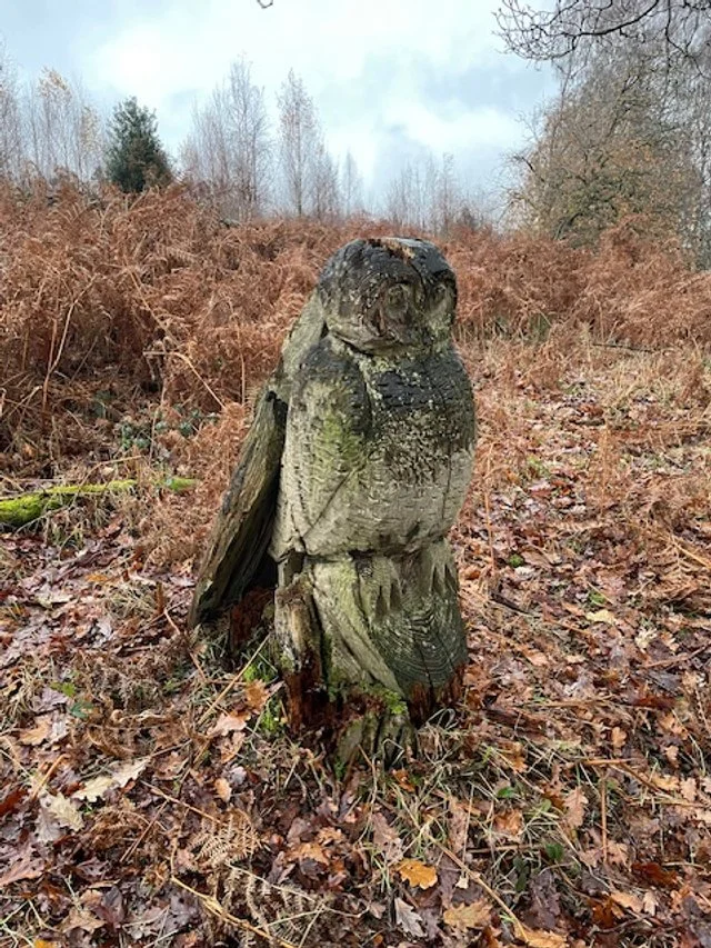 The Owl wood carving
