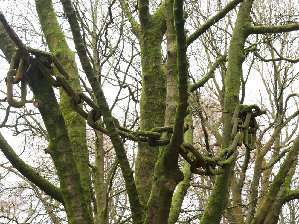 The Chain wood carving