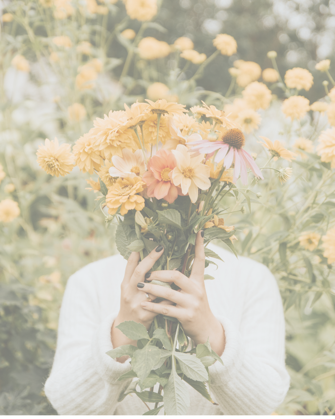 Reclaiming Your Metabolism in Midlife: Fat Loss, Hormones & Metabolic Resilience