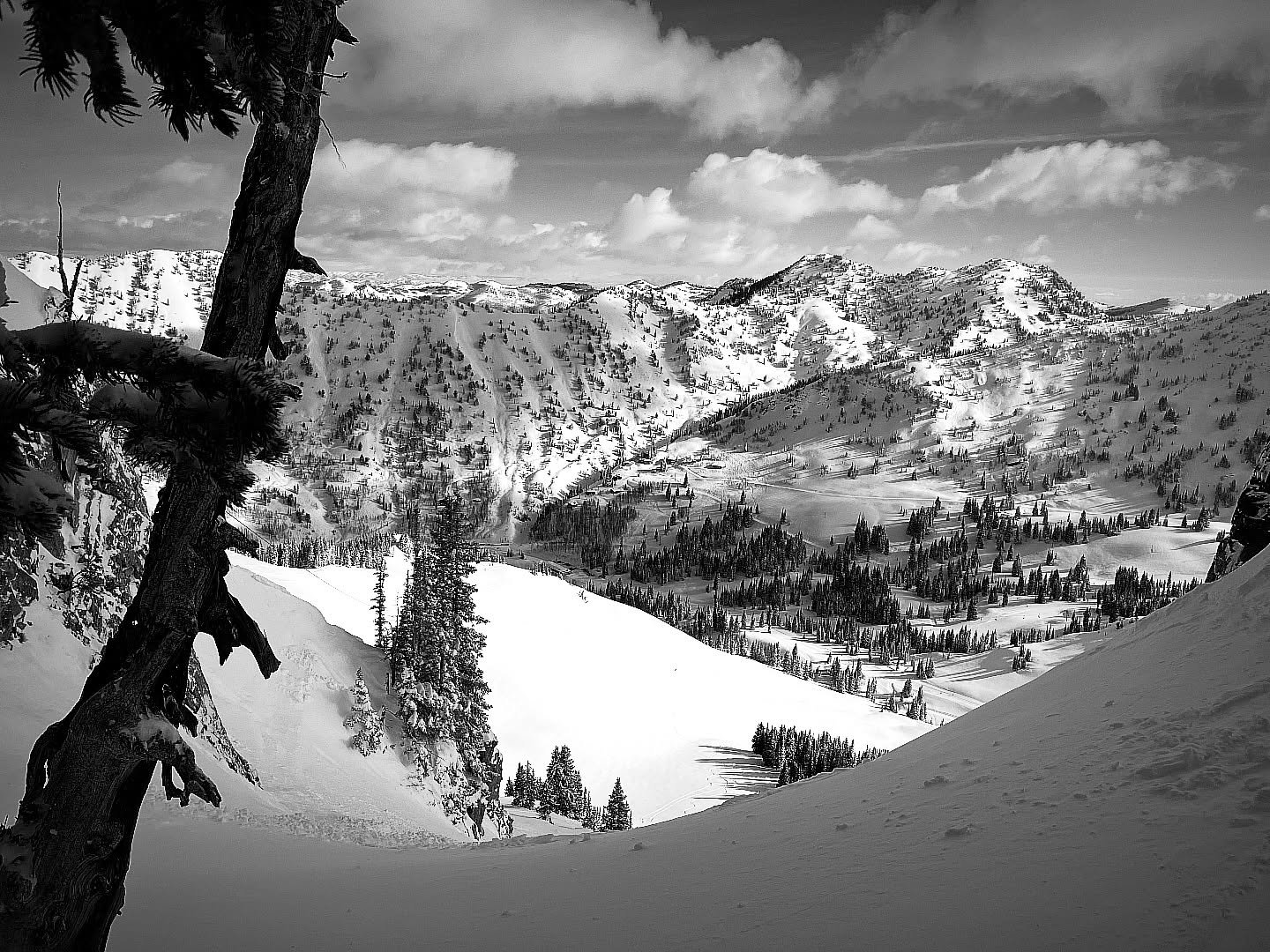 ❄️ Winter is nothing if not shadow and light. In the depth of cold, ice, and snow, our inner landscapes can sometimes feel just as stark.

Sommerville wrote the blog post, &ldquo;Solstice Shadows&rdquo; on the winter solstice, but its invitation - to