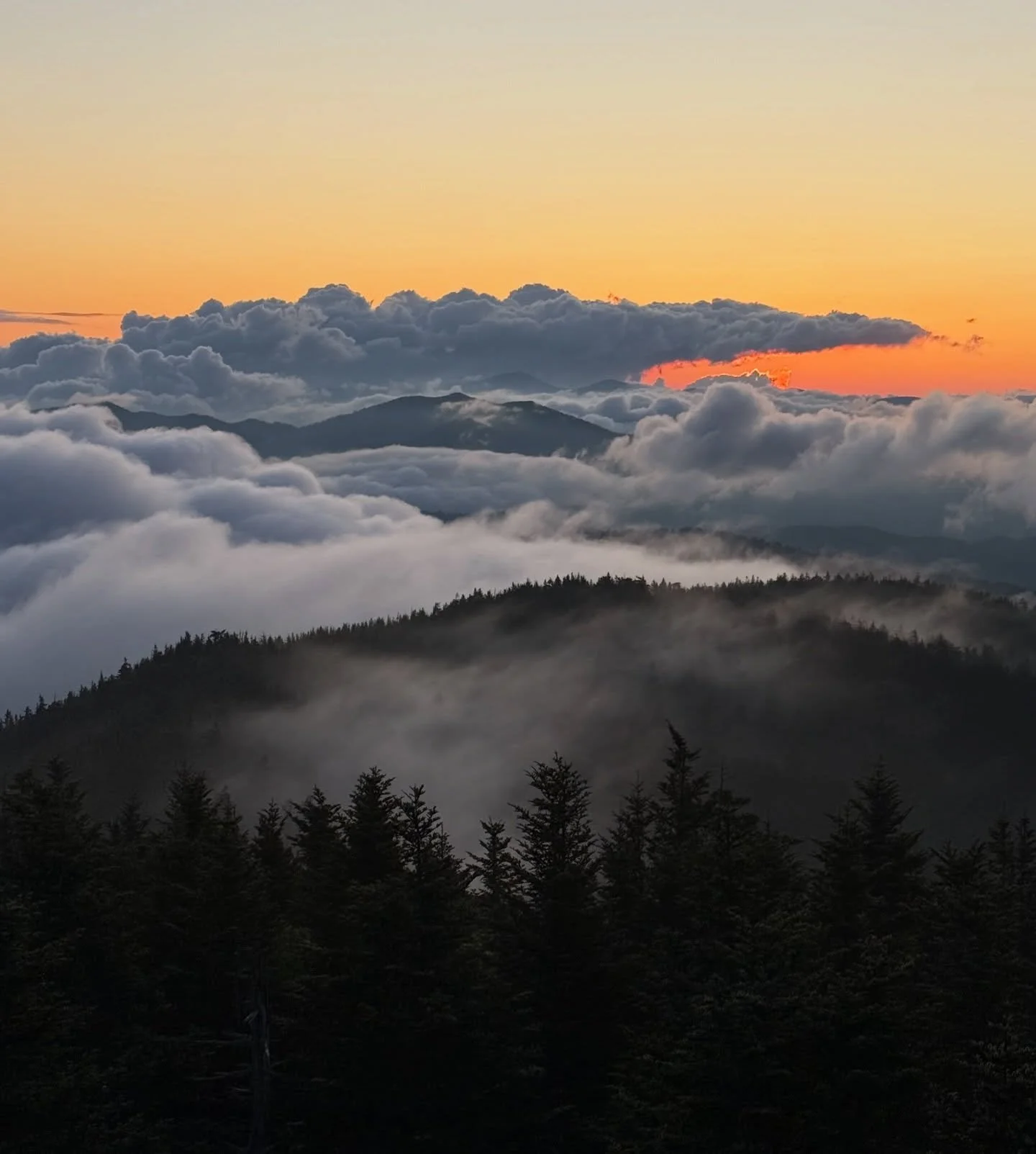 She keeps going.

#EarthDay