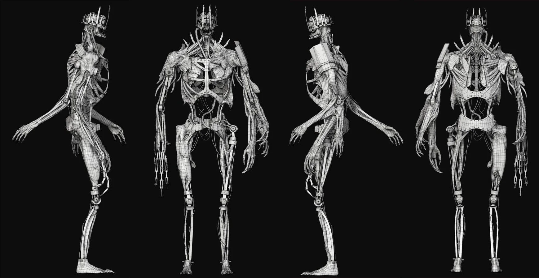 robin-zenker-erebus-wireframe.jpg