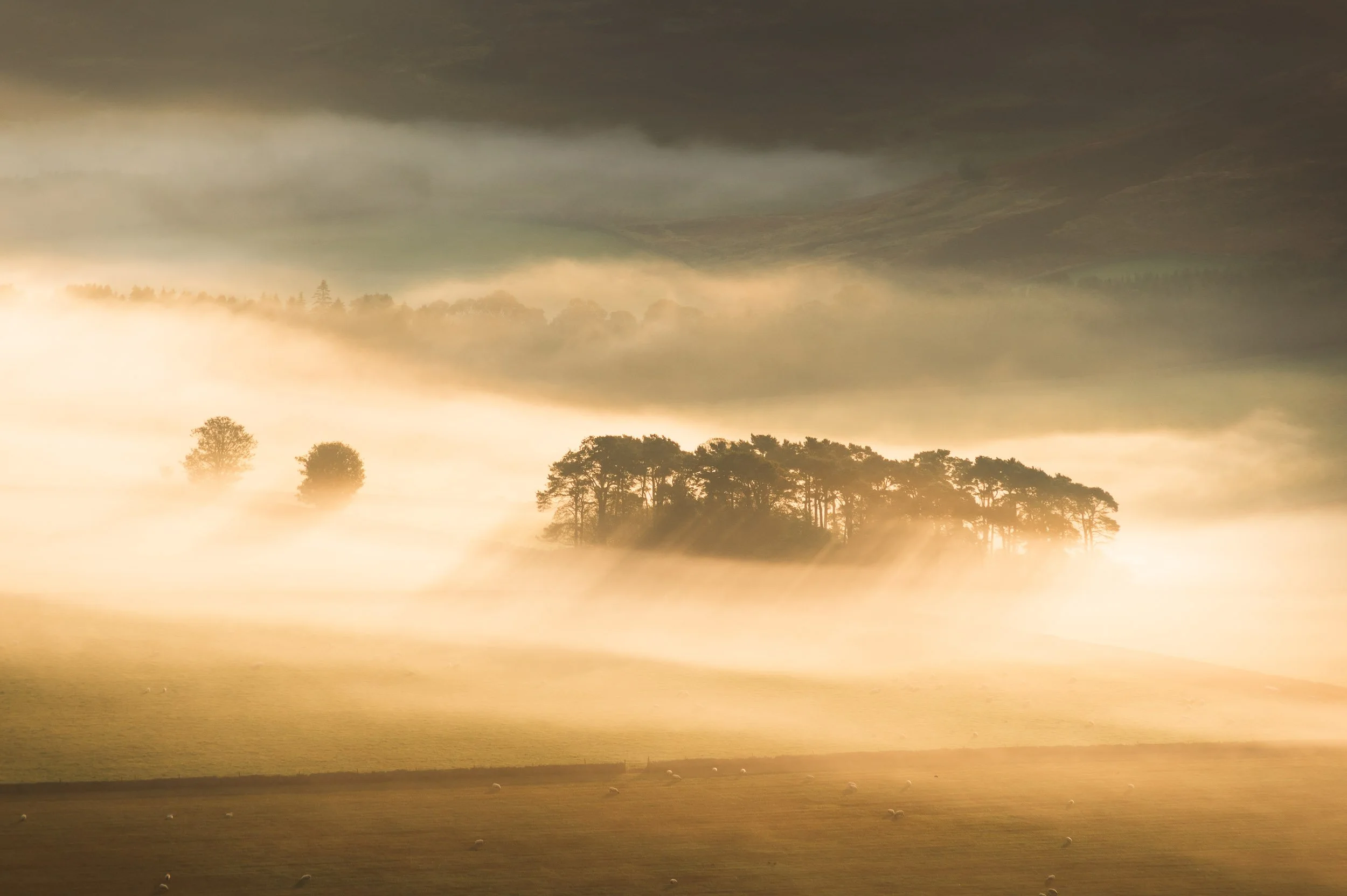 2014_10_12 cademuir morning mist061.jpg