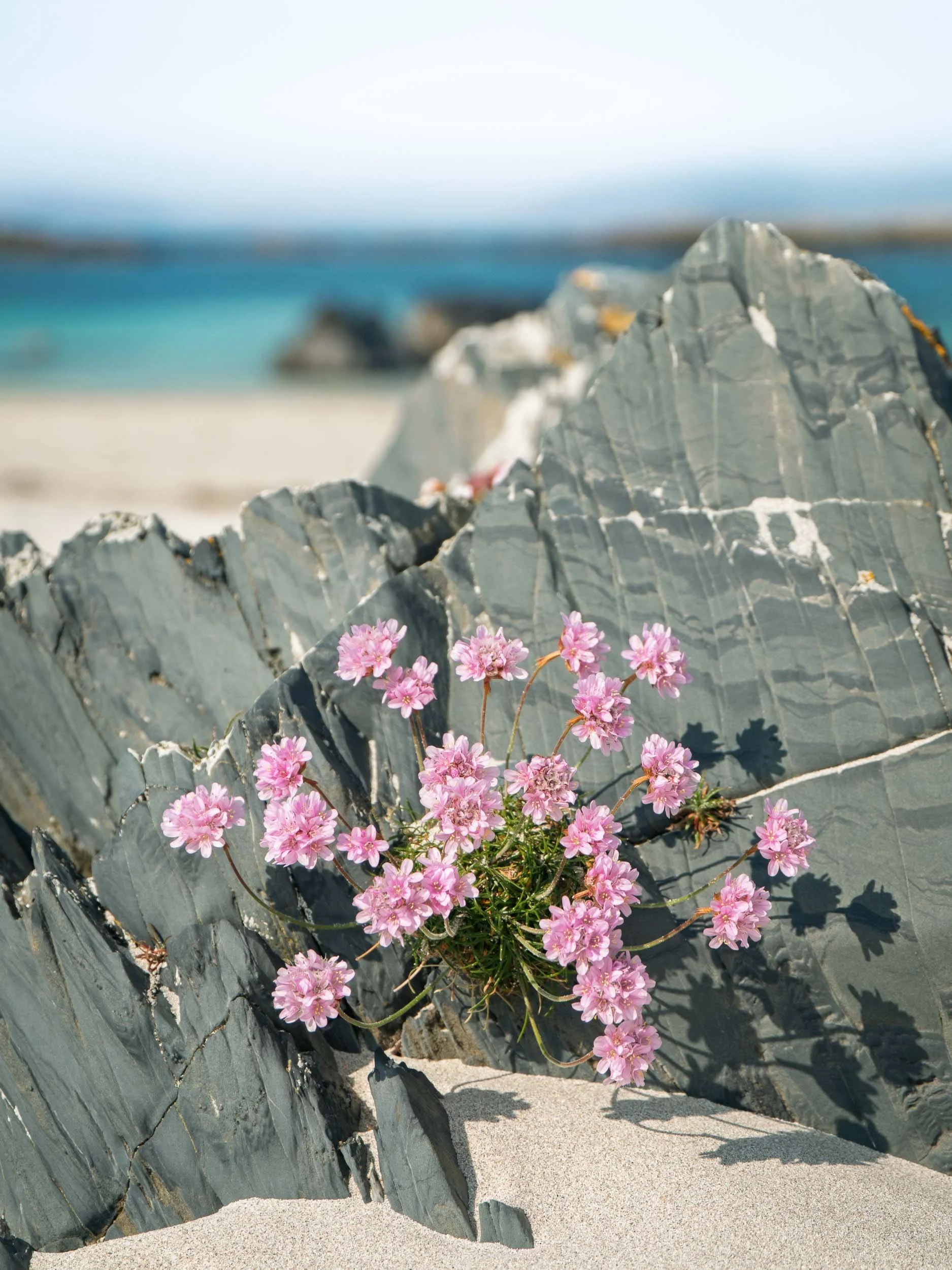 raw2017_05_13 mull00563.jpg