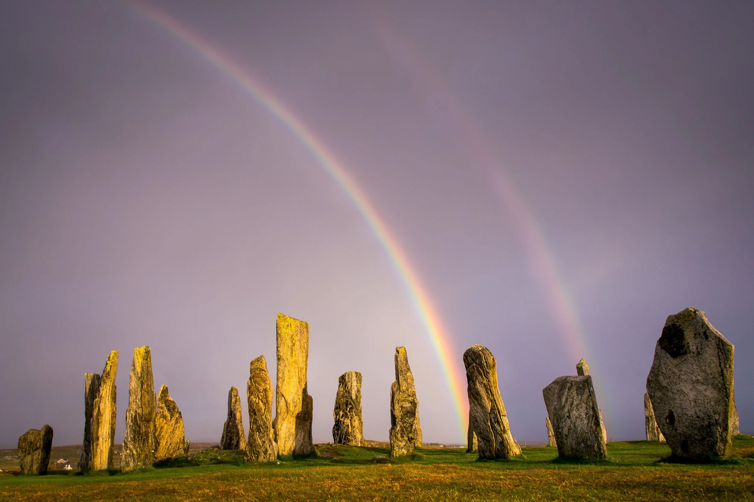 2014_10_05 harris452.jpg