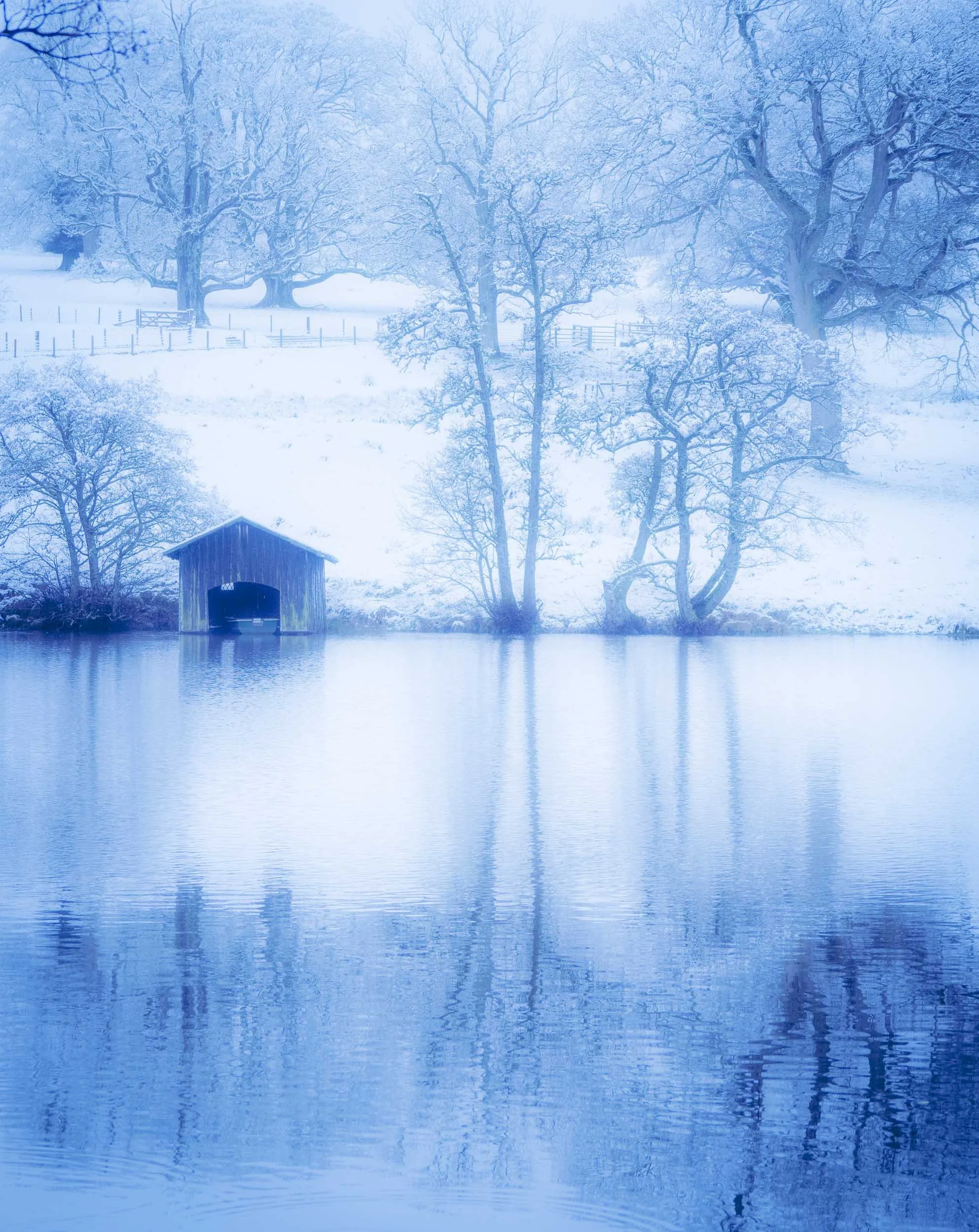 raw 2017_12_27 snowday00226.jpg