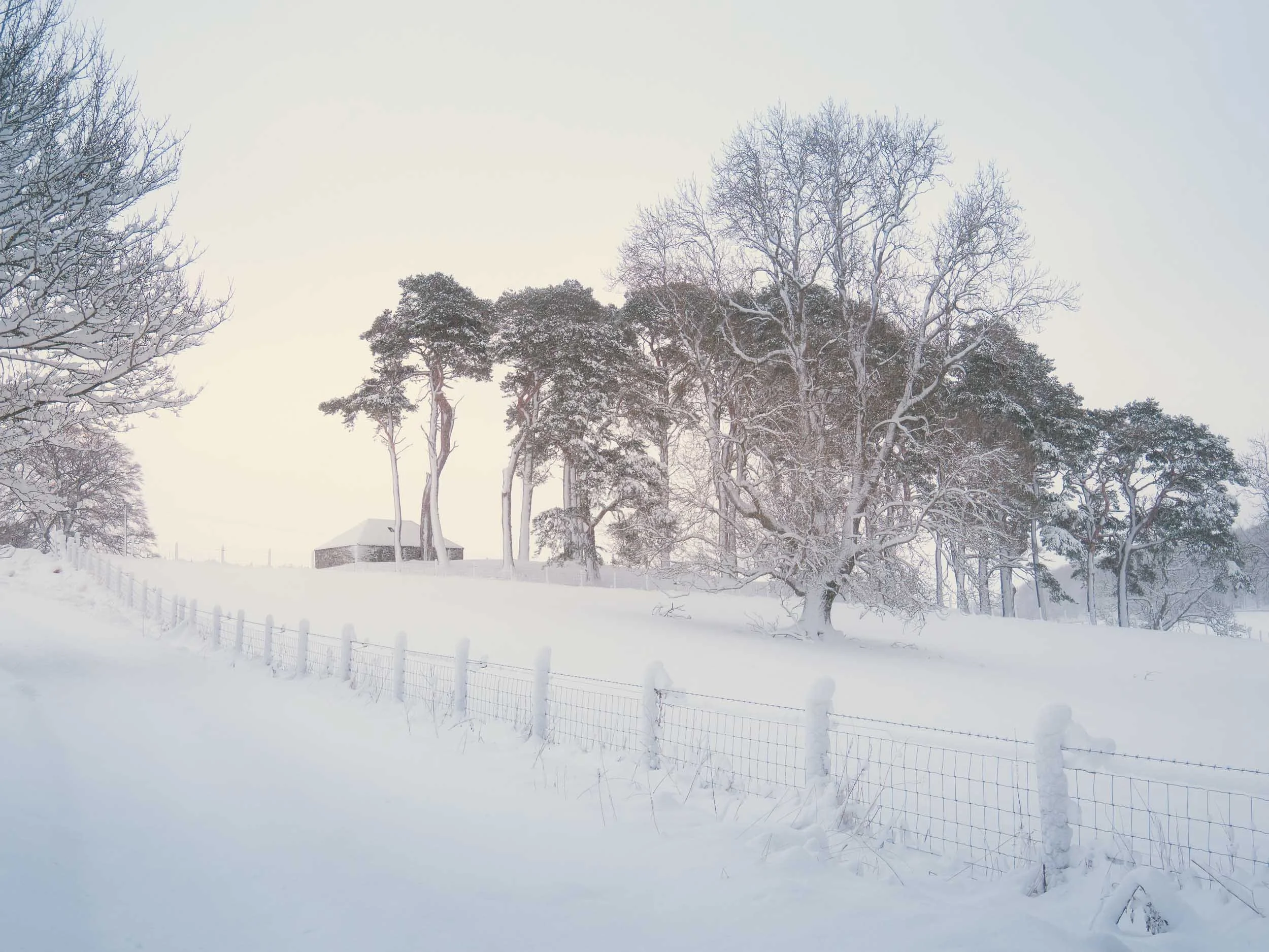 raw2018_01_17 snowsnow00192-Enhanced.jpg