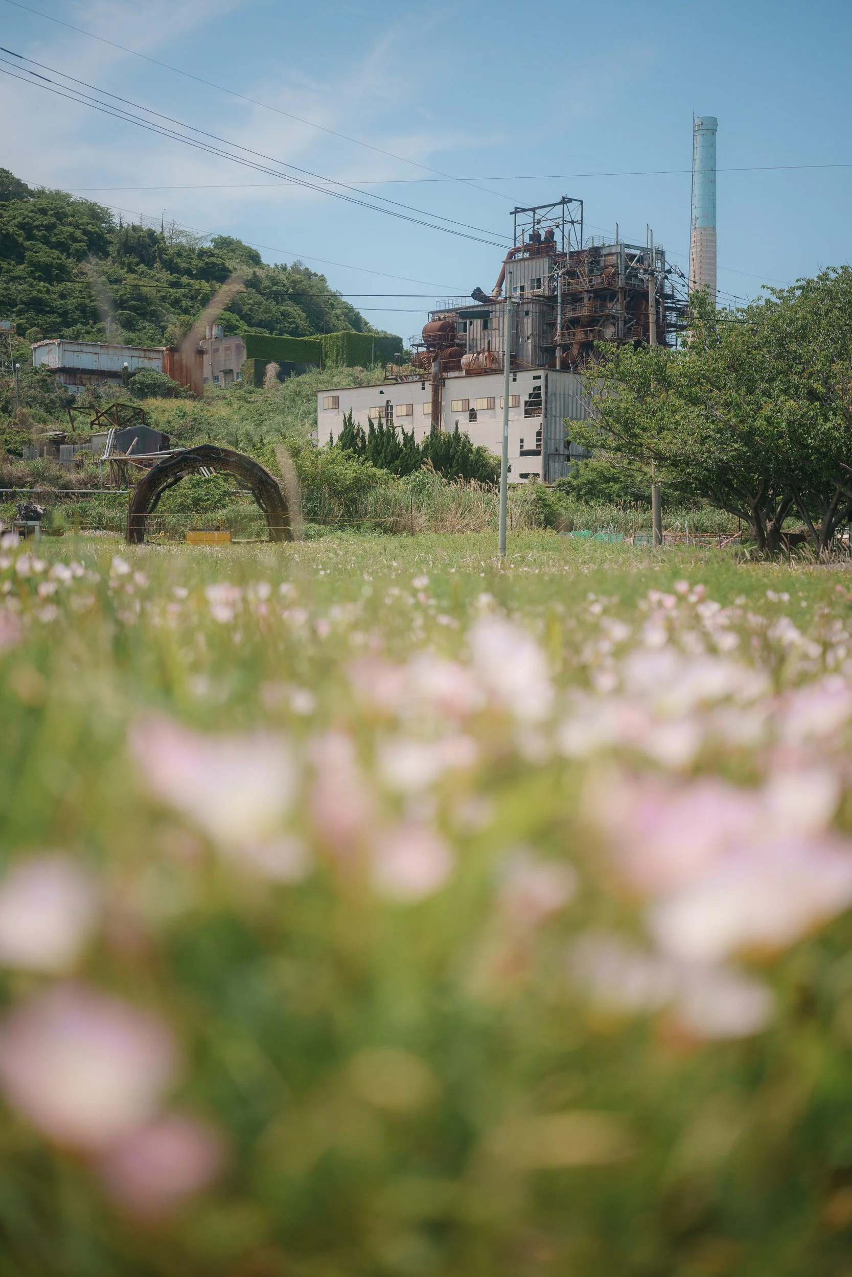 _DSC7687.jpg
