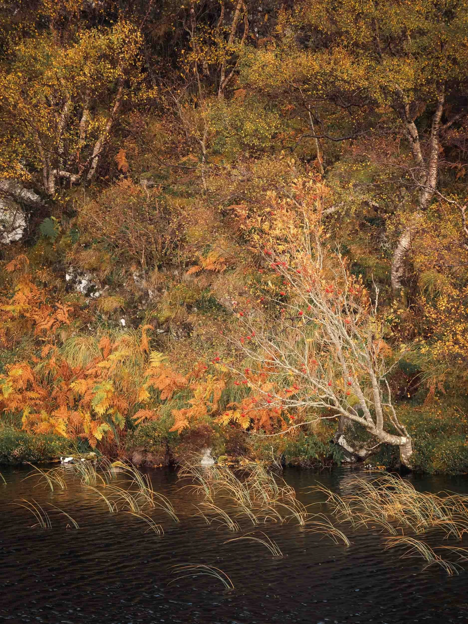 raw 2017_10_23 lochinver00090.jpg