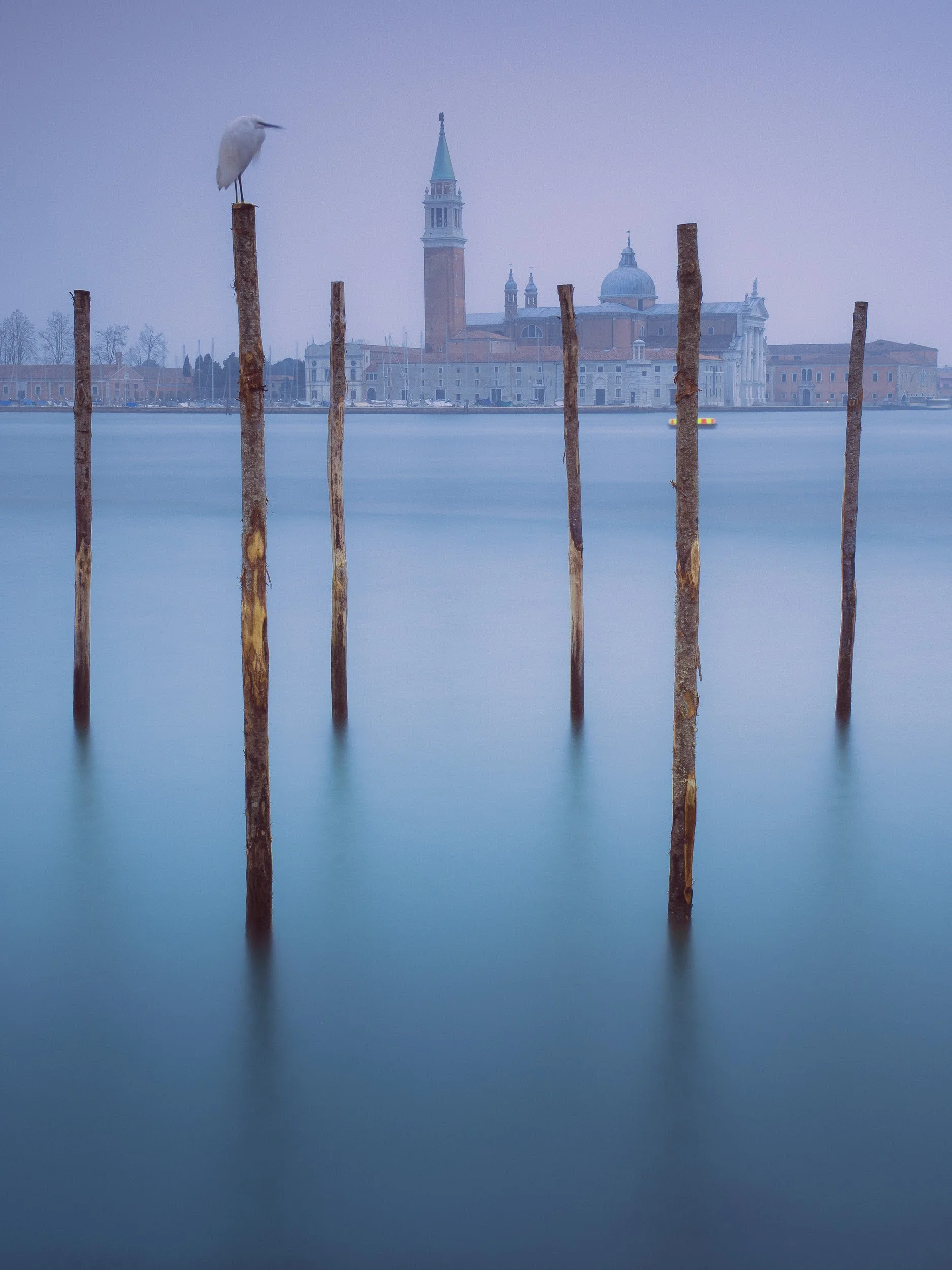 A white heron perched on top of a wooden post along a pier, with a scenic cityscape with historic buildings and domed church in the background, and water in the foreground.