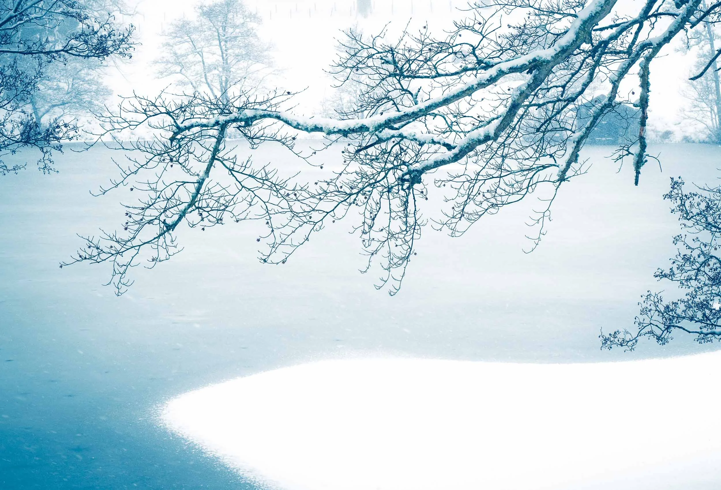 raw2018_02_28 blizzard walk00180.jpg