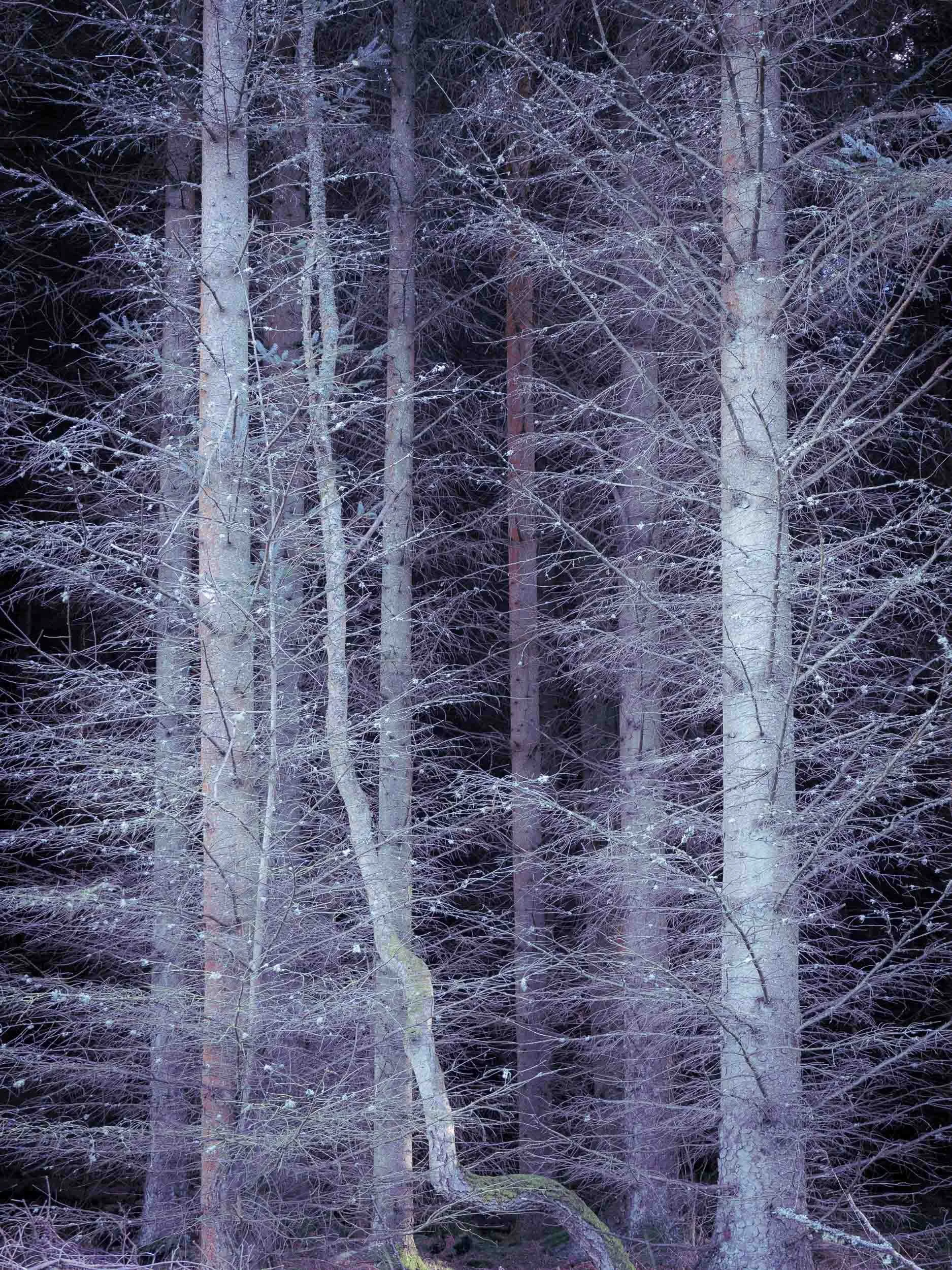 raw2018_01_15 portmore walk00076.jpg