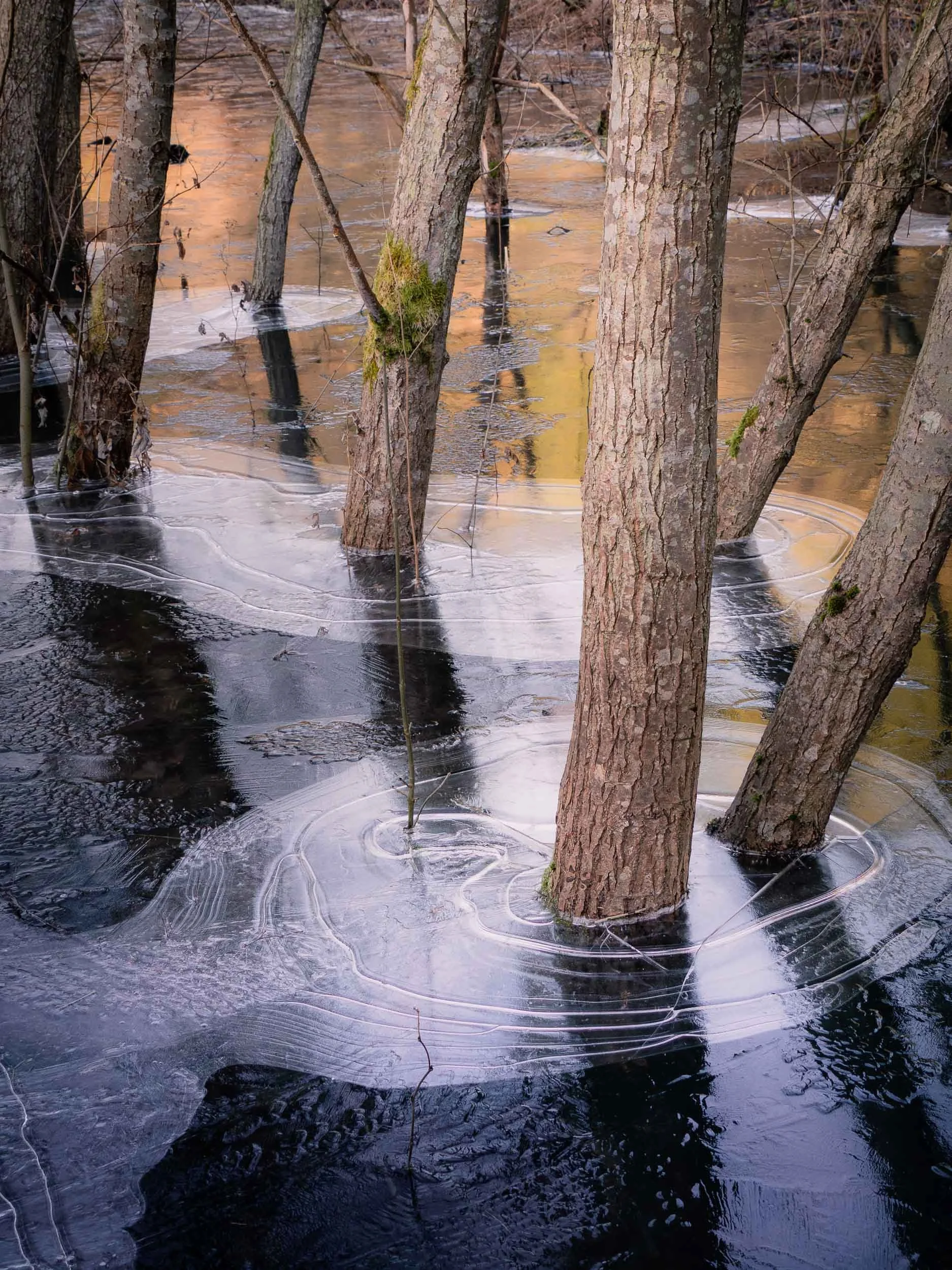 raw2018_01_07 afternoon walk00105.jpg