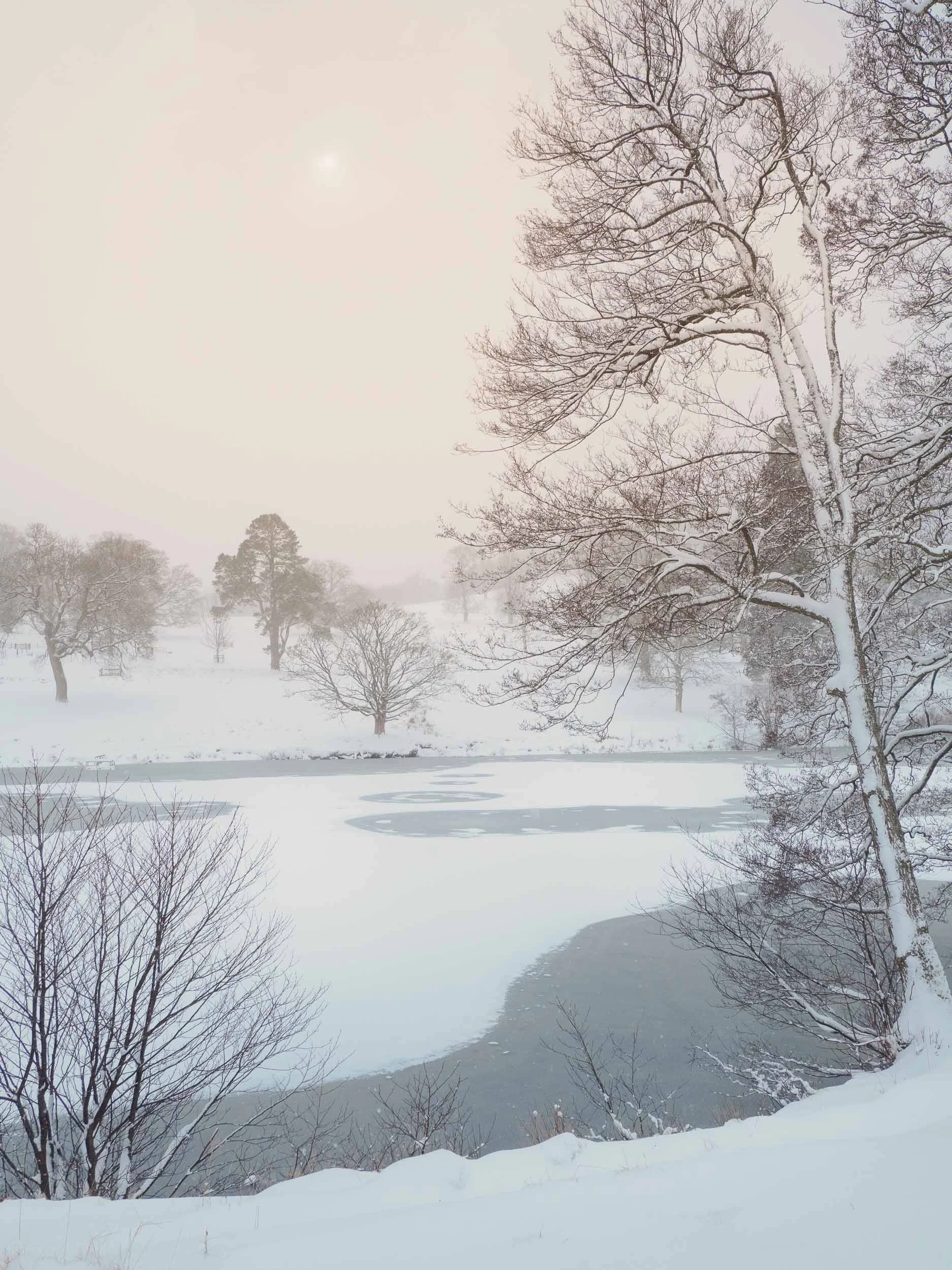 raw2018_02_28 blizzard walk00047.jpg