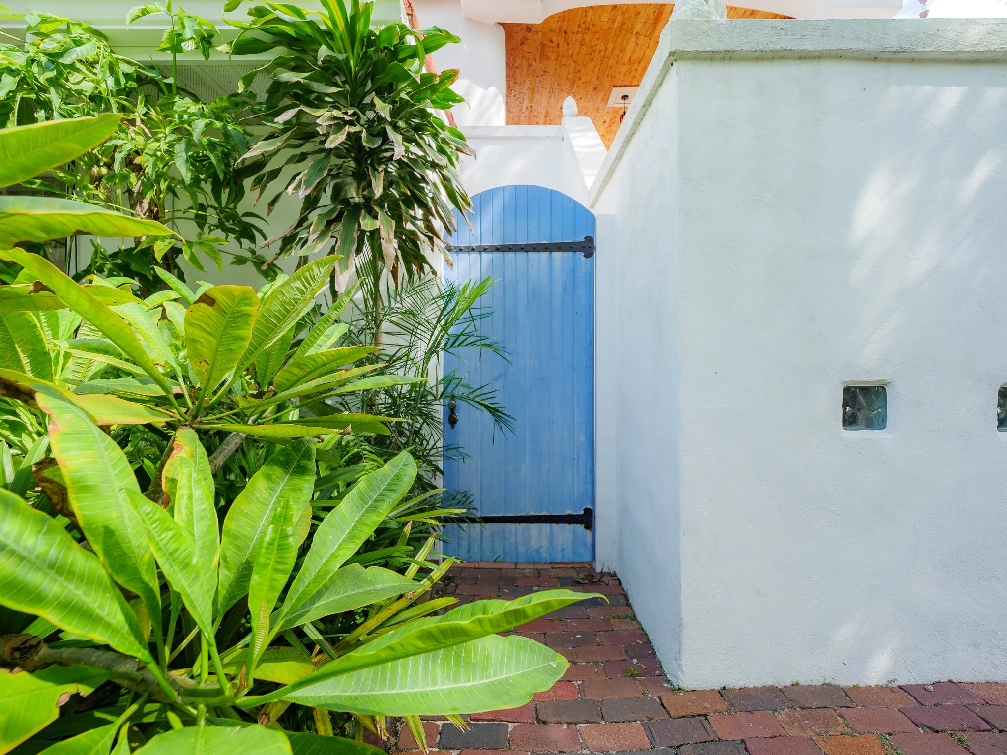 A white exterior wall with a small window, a blue wooden gate, and lush green tropical plants covering part of the wall. There is a brick pathway in front of the wall.