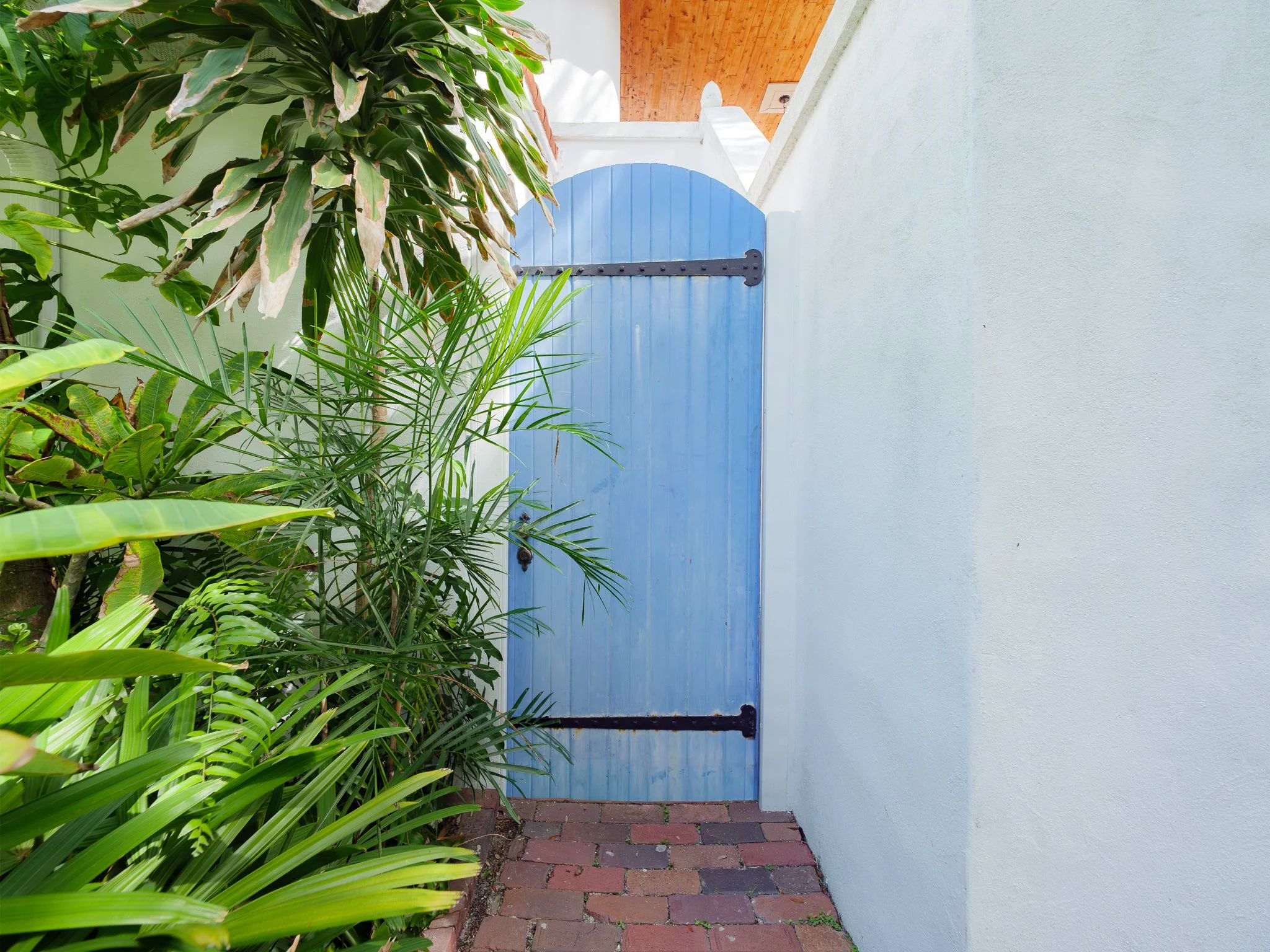A pathway with brick paving leading to a closed blue wooden garden gate, flanked by a white wall on the right and lush green tropical plants on the left.