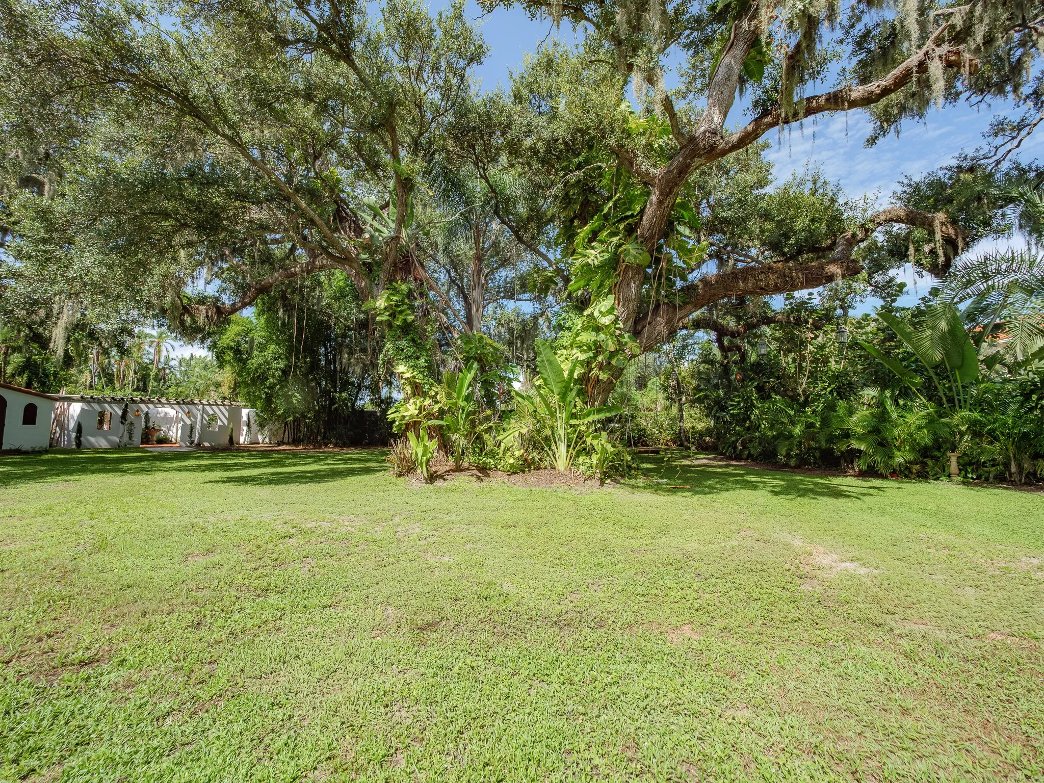 A lush backyard with a large tree, green grass, and tropical plants under a blue sky.