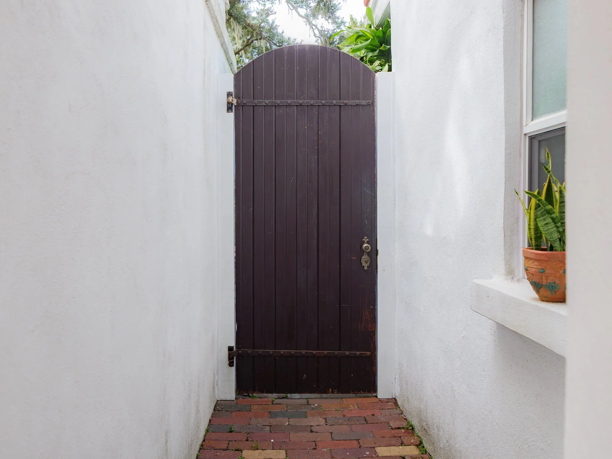 A wooden gate with a curved top, painted dark brown, situated between two white stucco walls. There are plants and trees visible above the gate, with a potted plant with green striped leaves on a ledge to the right.