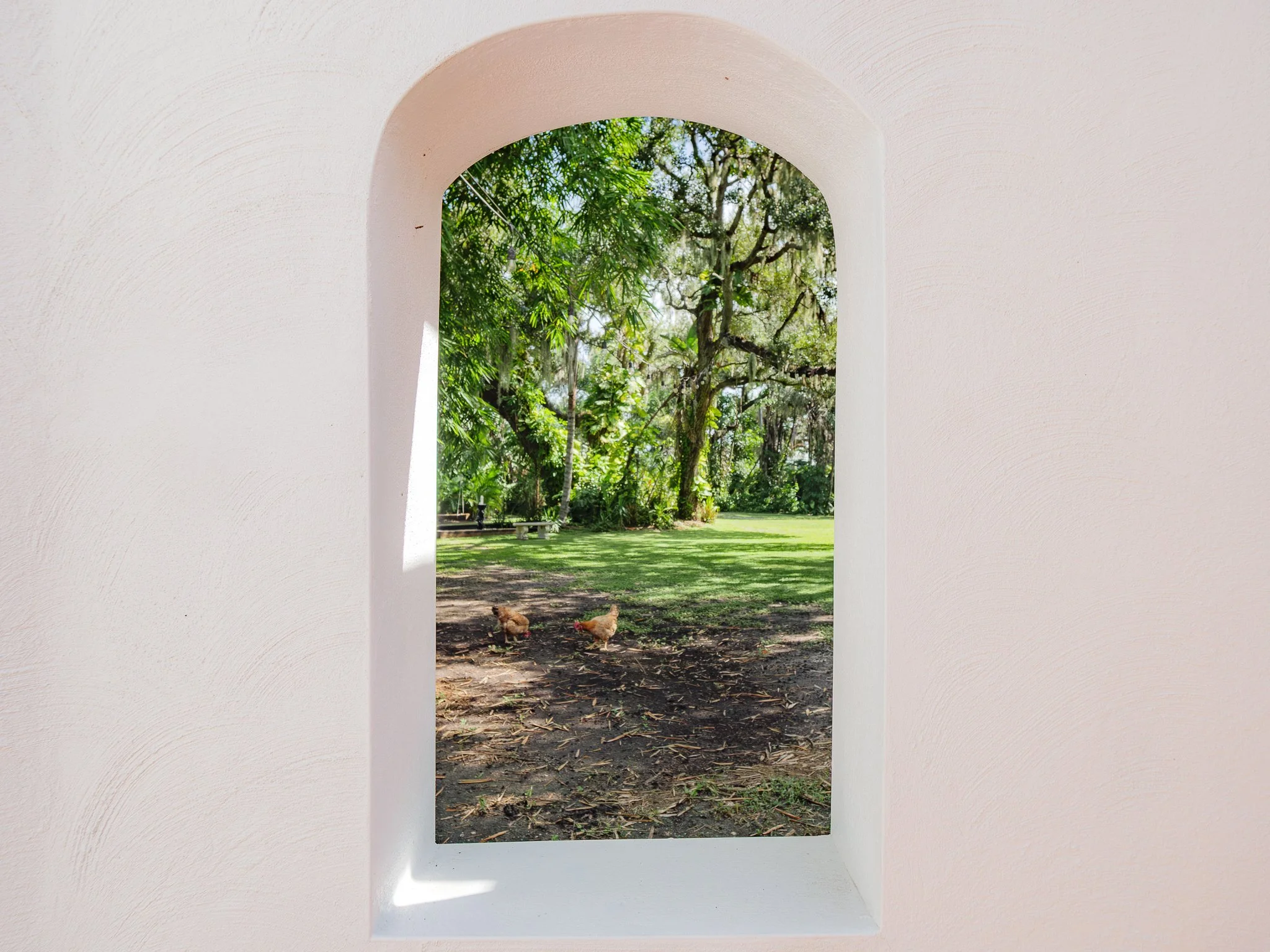View through an arched window in a white wall showing a lush green garden with trees, grass, and chickens on the ground.