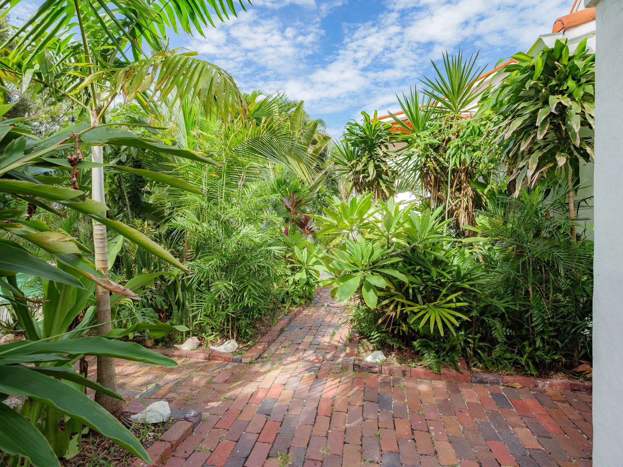 Brick pathway surrounded by lush green tropical plants and trees, with a blue sky and scattered clouds in the background.