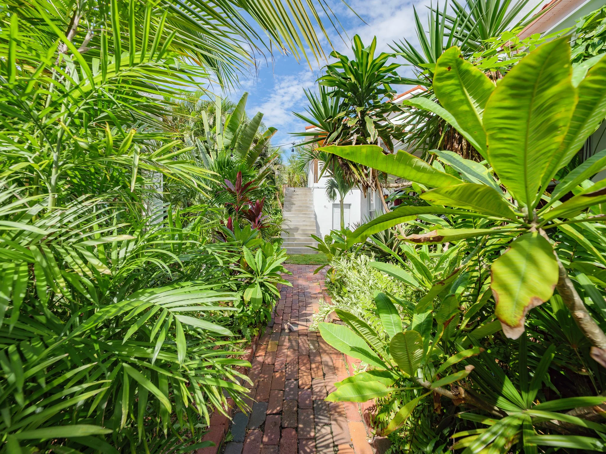 A lush tropical garden with a brick pathway leading up stairs to a white house, surrounded by various green plants and trees, under a partly cloudy sky.