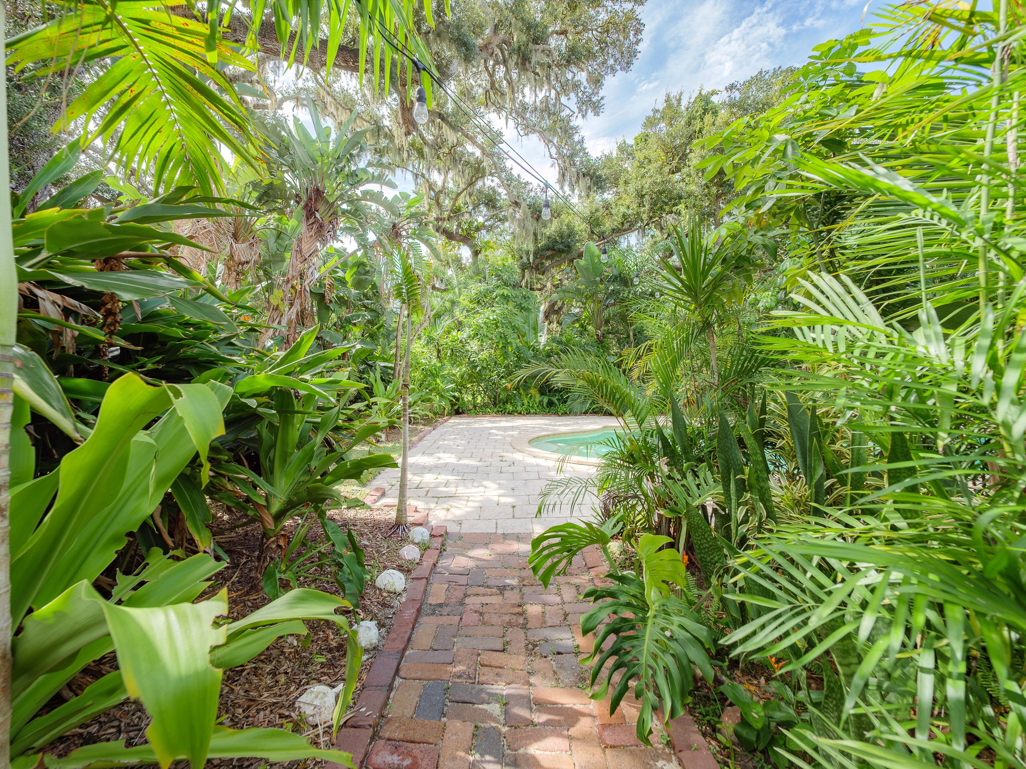 A brick pathway with a small circular pool in a lush tropical garden, surrounded by green plants and trees, with string lights hanging above.
