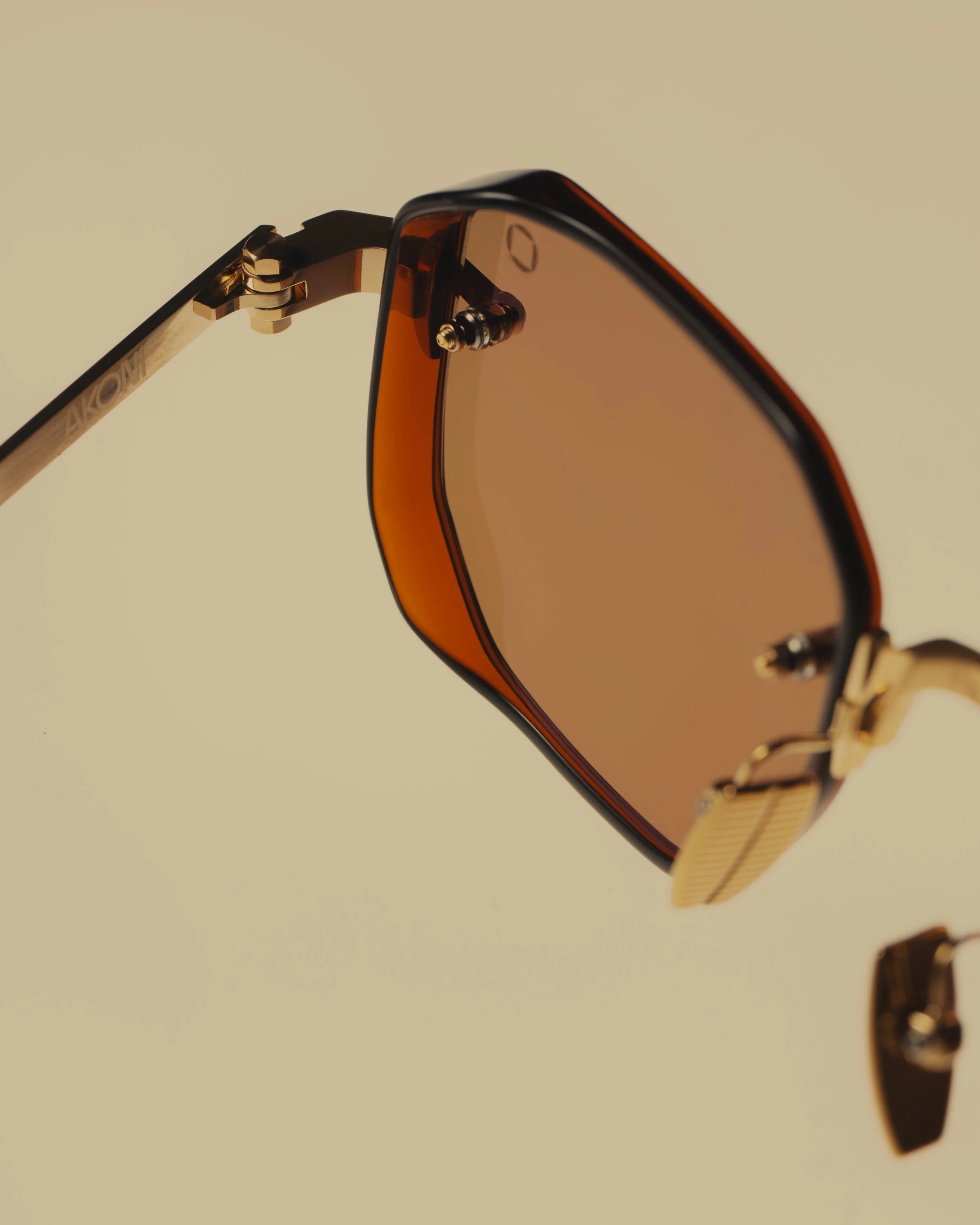 MRTORTOISE_STUDIO1782 copy 2.jpg