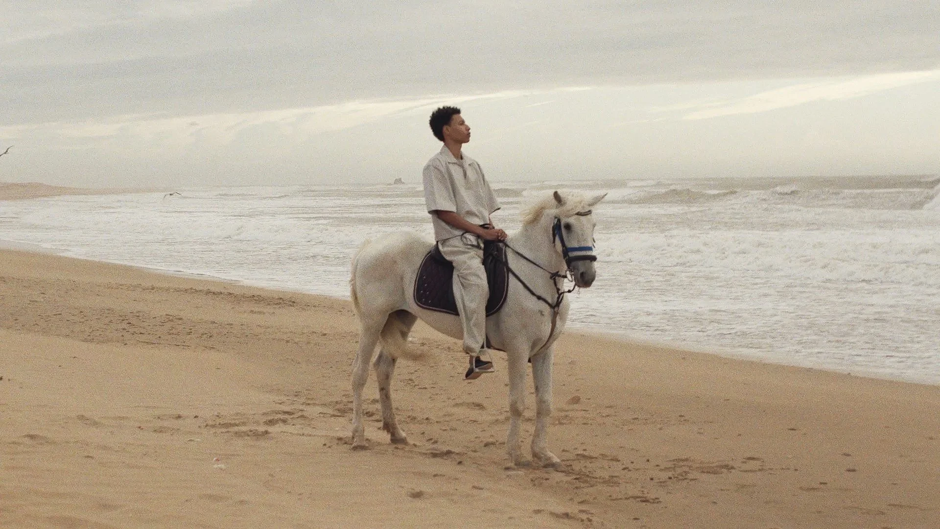 Morocco Campaign / Motion