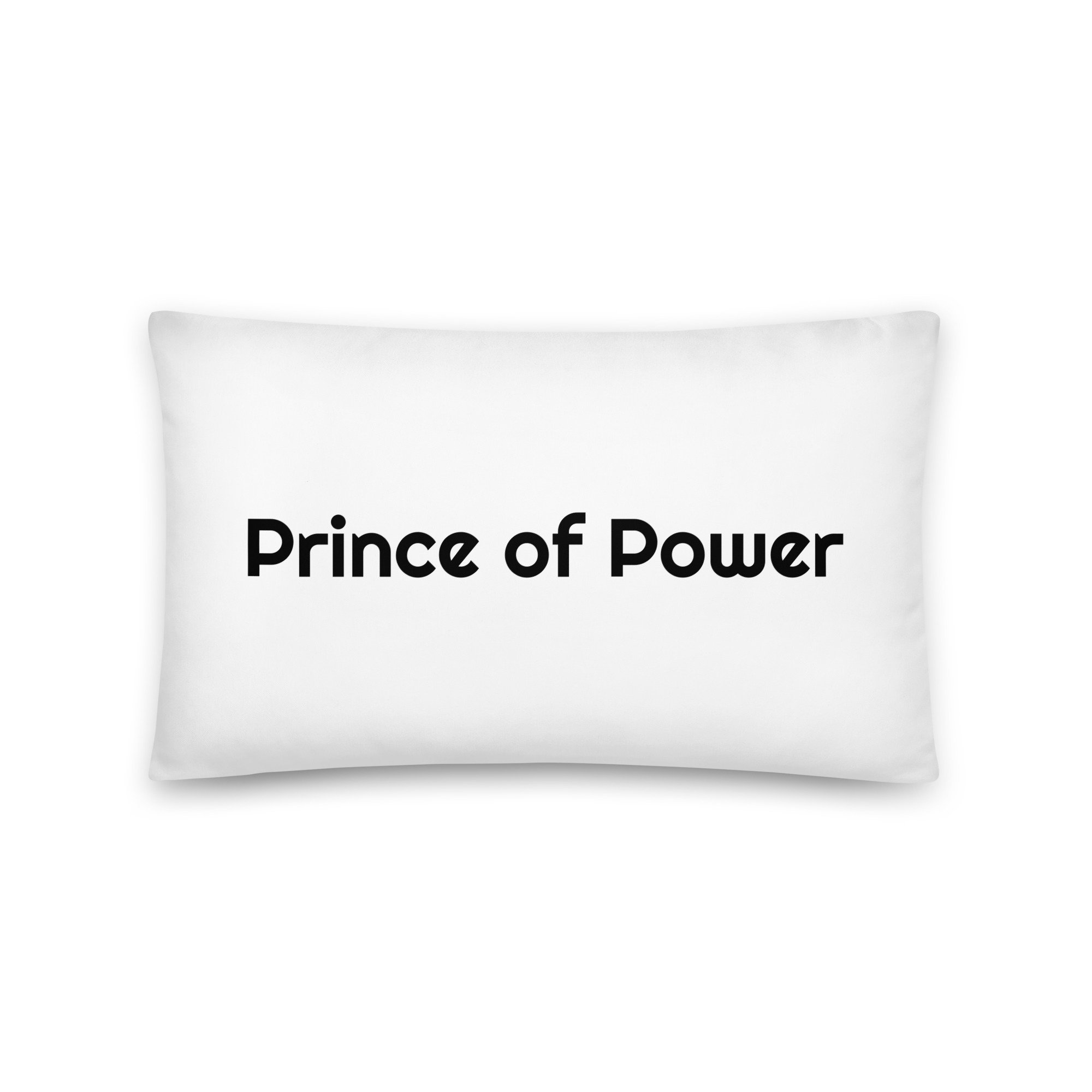 all-over-print-basic-pillow-20x12-back-6757400f6865d.jpg