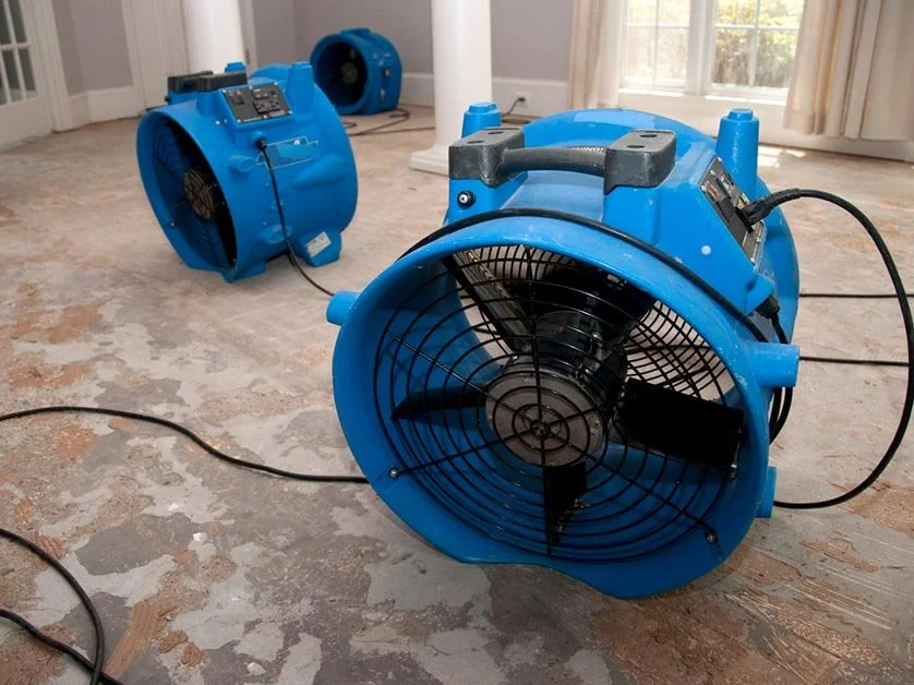 Service illustration: blue air movers positioned for structural drying.