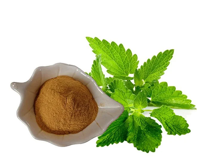 Lemon Balm Extract.jpg
